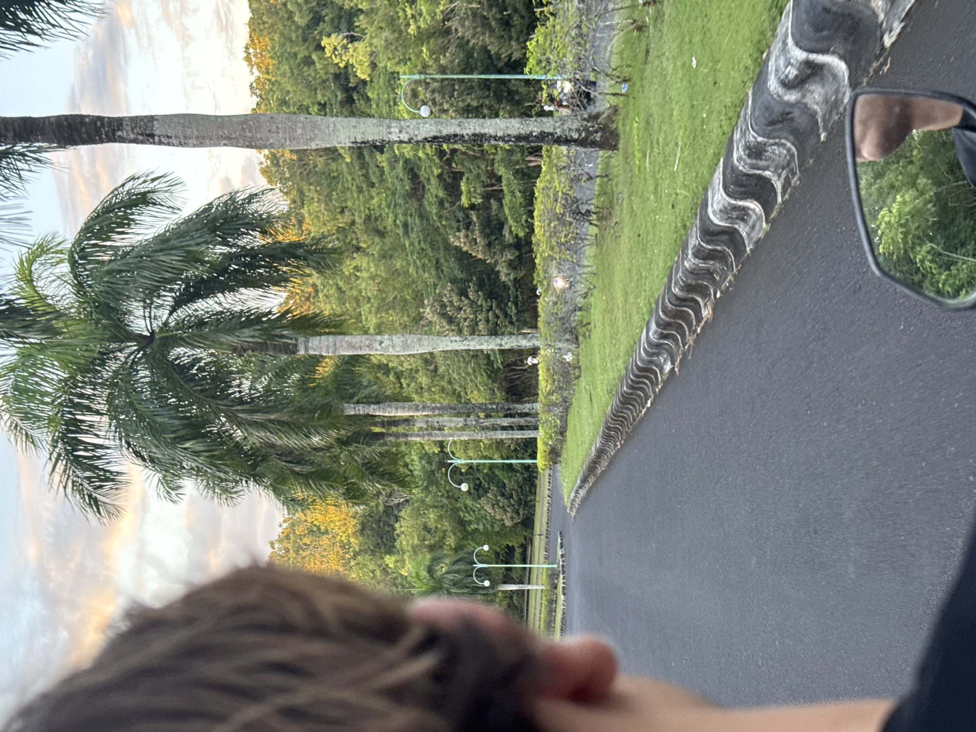 A vertical, eye-level shot shows a palm-lined avenue in Pecatu, Indonesia. A person's head and shoulder are in the foreground, partially obscuring the view. A row of tall palm trees lines the left side of the road, contrasting with the green foliage on the right. The road is smooth asphalt, with a patterned concrete divider on the right edge. Distinct, curved street lamps line the avenue. In the side mirror, a person is reflected. The lighting suggests either early morning or late afternoon.
