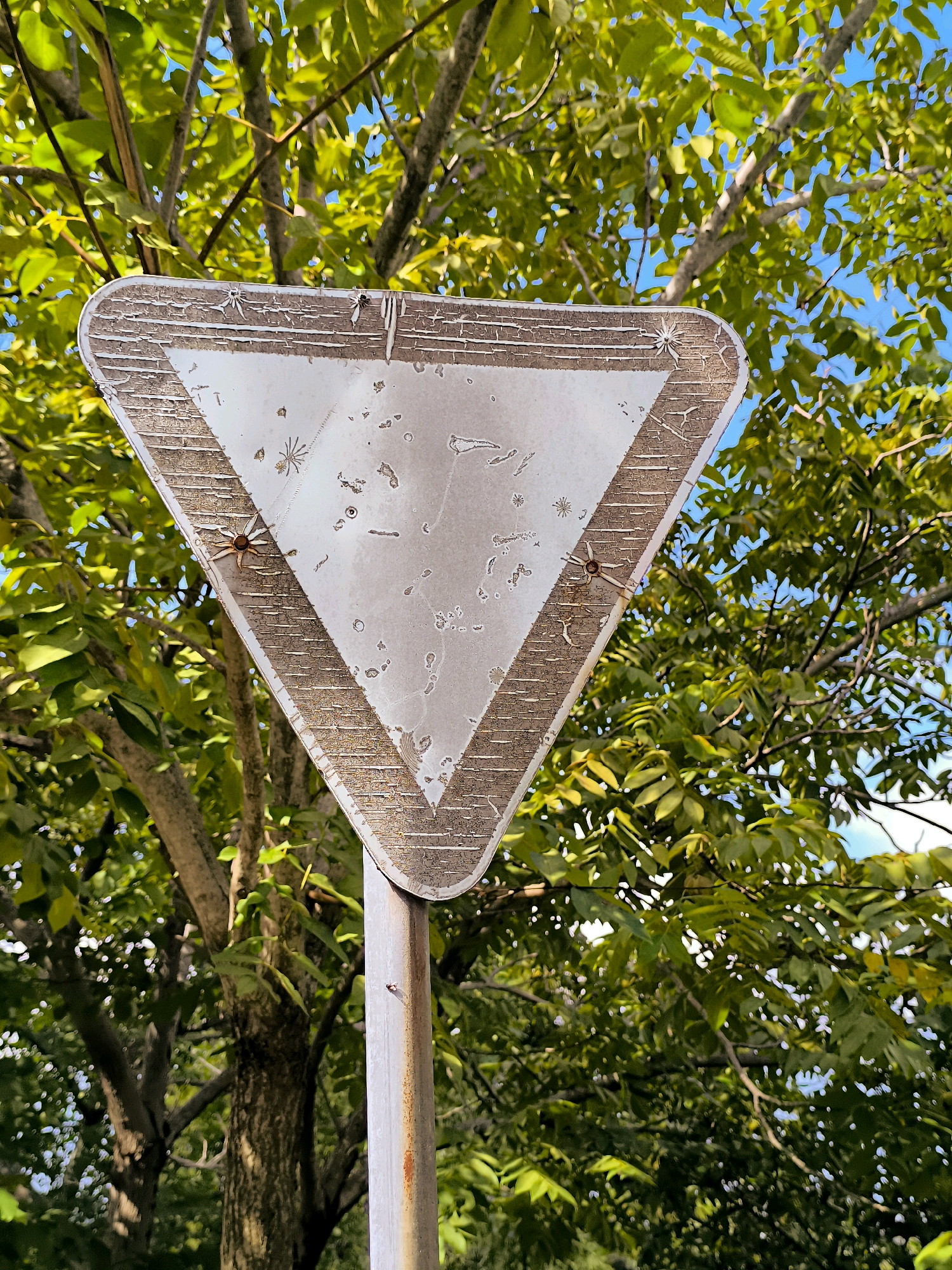 The image is a close-up shot of a weathered, triangular yield sign mounted on a rusty metal pole. The sign is white with a distressed brown border and has some scattered marks and what appear to be small dead insects on its surface. Two rusty bolts are visible, one on the left side and one on the right side of the sign, securing it to the pole. The background is dominated by lush green foliage from a tree, with hints of blue sky visible through the leaves. The lighting suggests it is daytime, with sunlight filtering through the branches. The sign and pole appear aged, indicating exposure to the elements. The scene is set in an outdoor environment, likely a roadside or park area in Batumi, Georgia, given the context. No people or animals are visible in the frame.