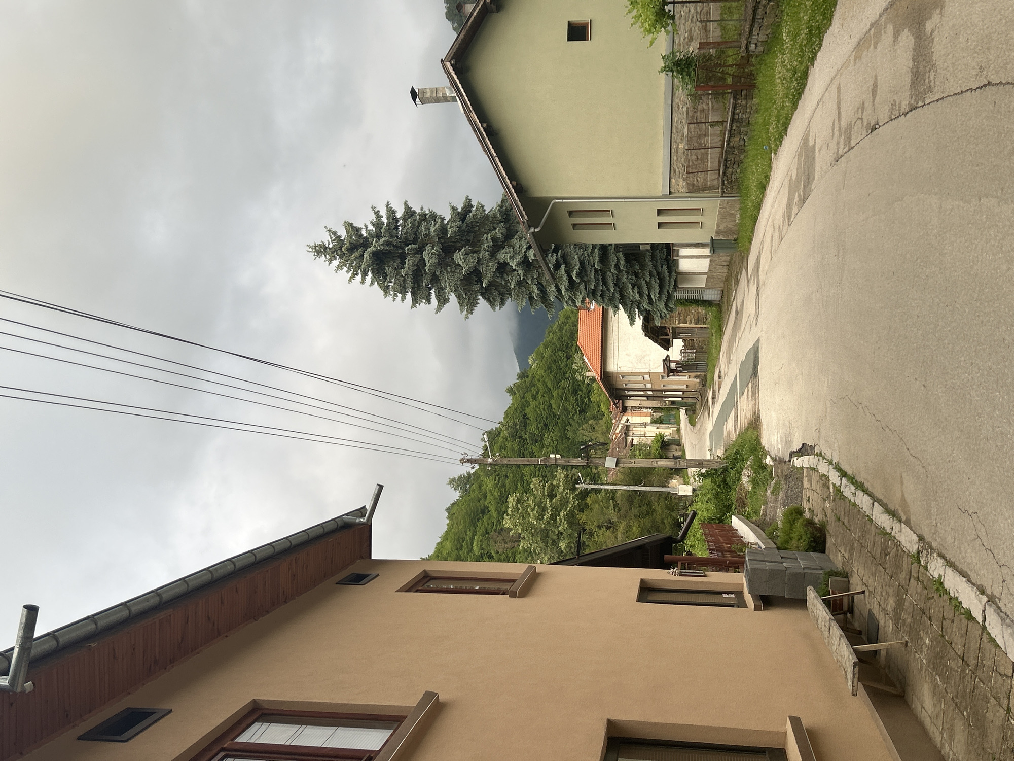 This landscape image captures a residential street nestled in a hilly, green environment under an overcast sky. In the foreground on the left, a light tan-colored house with a dark brown sloped roof and several windows is partially visible, featuring exposed wooden eaves and metal gutters. A paved sidewalk runs alongside this house, leading to a rougher, block-paved section with some low vegetation.
On the right side of the frame, a light olive-green house with a dark sloped roof and a chimney stands prominently. A tall, dense evergreen tree, likely a spruce or fir, is centrally located between the two main houses, its foliage a striking dark green against the muted tones of the buildings and sky.
An asphalt road, showing some cracks and wet patches, curves gently to the right as it recedes into the distance, flanked by a low stone wall and patches of grass. Further down the street, additional houses with varying roof colors and styles are partially visible, suggesting a small community.
Multiple dark power lines stretch across the upper left and central portions of the image, connected to a wooden utility pole positioned mid-frame. The background reveals lush, verdant hills densely covered in deciduous trees, indicating a mountainous or heavily forested region. The sky is entirely covered in thick, grey clouds, creating a diffused and somewhat somber light over the scene. No people or visible text are present. The overall atmosphere is quiet and still, hinting at impending rain or recently passed showers.