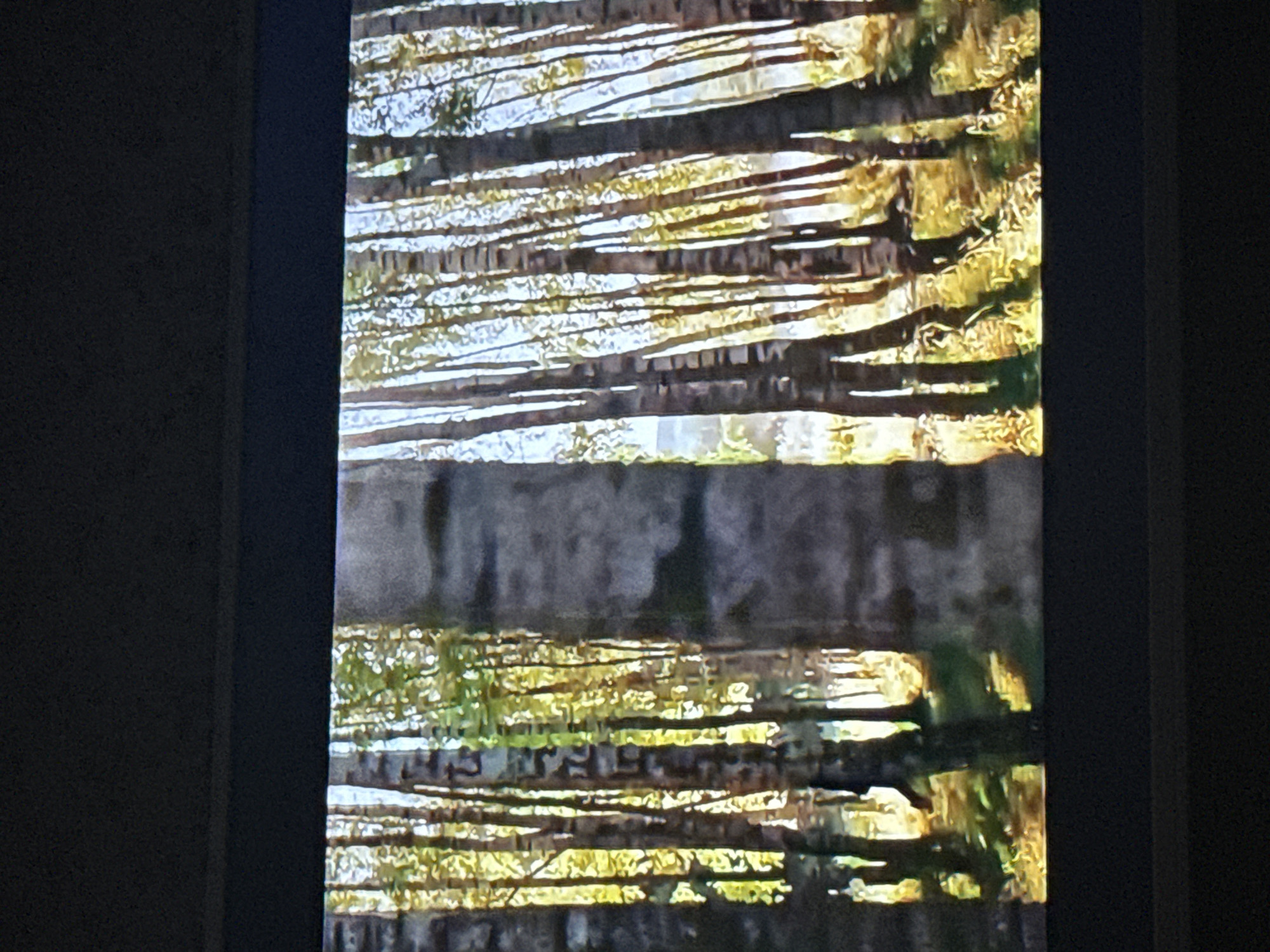 The image shows a vertically flipped photograph or projection of a birch tree forest. The location of the photograph is Mytishchi, Russia. The photo has been flipped. The color palette is comprised of whites and grays for the tree trunks, green and yellow for the ground cover, and hints of sky with the light. The lighting seems to indicate early daylight hours. It appears the photograph or projection has been displayed on a screen, within a dim or darkened room.