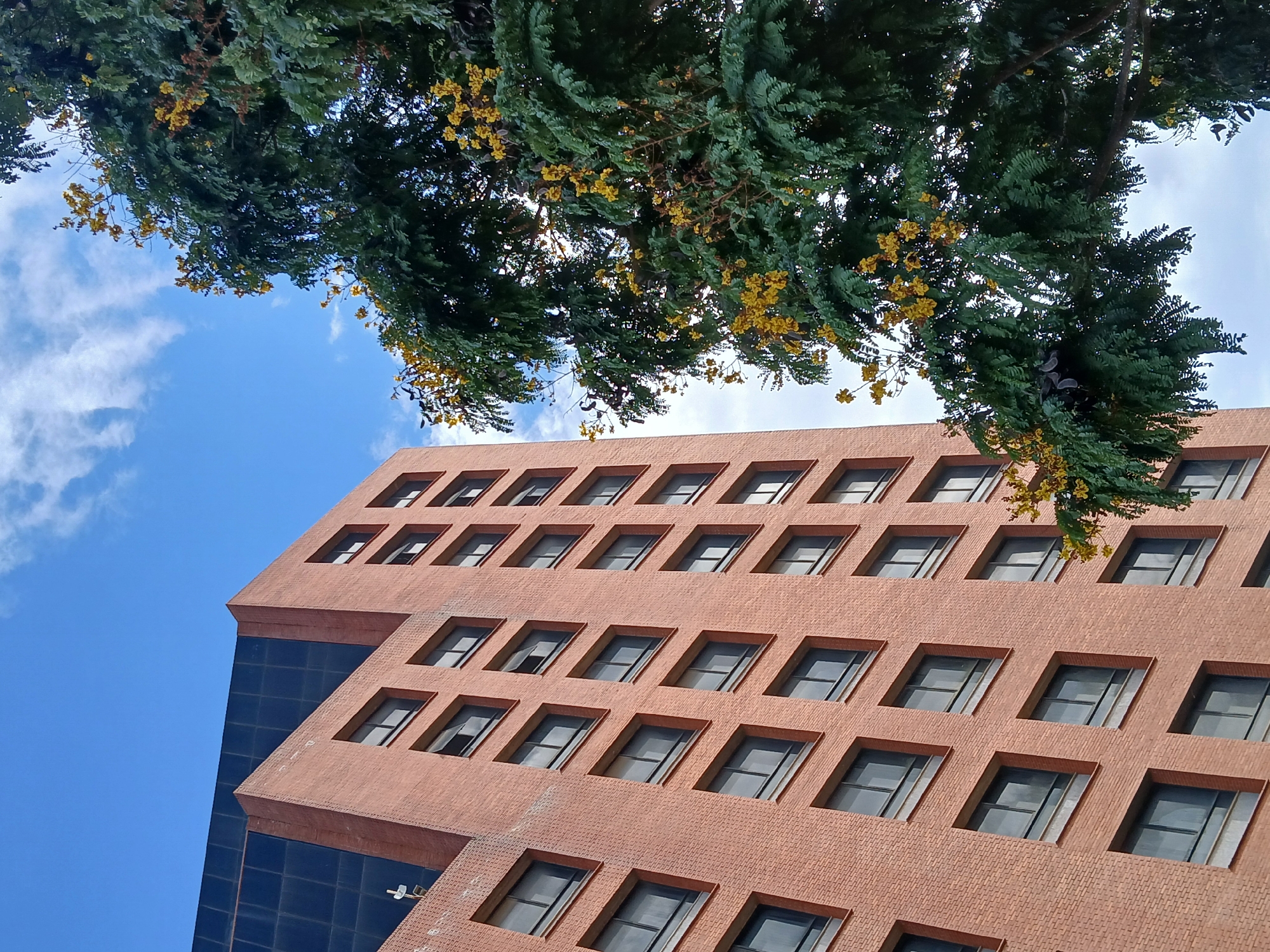 The image shows an upward view of a building with a modern, angular design. The building's facade is primarily brick-red with dark-tinted windows set into recessed frames. A dark blue-glass extension is visible on one side. The sky is blue with scattered white clouds. A tree with green foliage and yellow flowers is visible in the upper part of the frame, partially obscuring the building and sky. The location is Ciudad Guayana, Venezuela. There are no people visible in the scene.