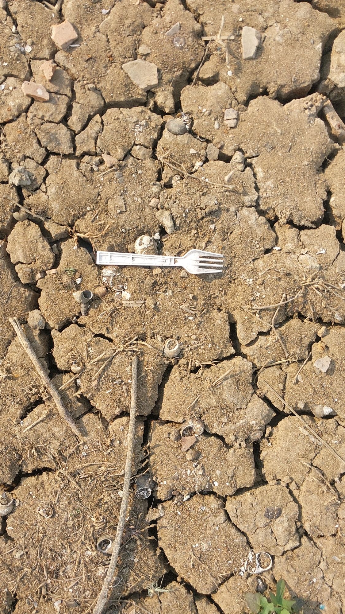 A white plastic fork lies on cracked, dry soil scattered with small shells, twigs, and other debris. The scene is an outdoor environment, suggesting an area impacted by drought or lack of moisture. There are no people or animals visible in the image. The cracked earth indicates arid conditions. The presence of the plastic fork suggests human litter. The location is identified as Bojonghaleuang, Indonesia.