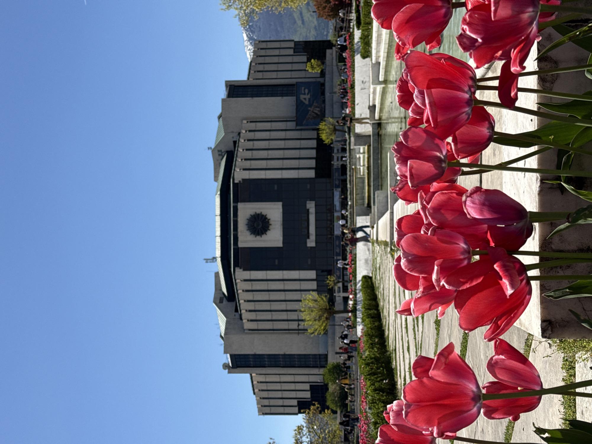 The image shows the National Palace of Culture in Sofia, Bulgaria, viewed from a low angle with a foreground of red tulips along a stone border. The palace is a large, multi-story building with a combination of light and dark grey facade elements, featuring vertical lines and a large circular emblem in the center. A reflection of the building can be seen in a water feature or fountain in front of it. People are walking along the area between the flowers and the building. The sky is clear blue. Some green trees and the side of a mountain can be seen in the background.