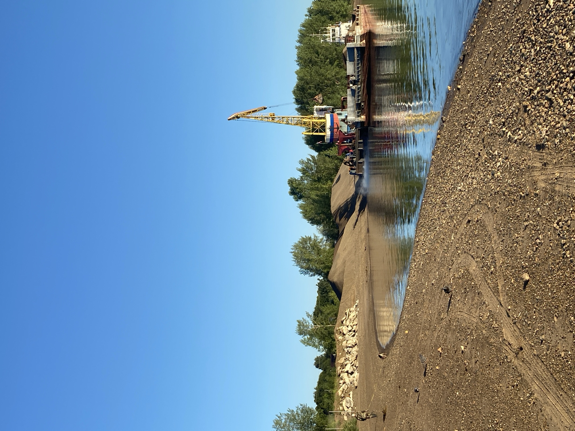 The image depicts a sunny day on the Kama River in Chaikovsky, Russia, near a sand and gravel extraction site. In the foreground, a gravelly beach curves into the water, with tire tracks visible in the sand. A person in camouflage clothing and boots walks along the beach, followed by a dog. Several pigeons are also present on the beach.
In the middle ground, a large barge is anchored in the river. A yellow crane mounted on the barge is actively scooping material from a pile of sand on the shore and transferring it to the barge. The barge itself appears to be a working vessel, possibly used for transporting construction materials. A smaller tugboat is attached to the rear of the barge. The background is dominated by a dense line of green trees, suggesting a natural landscape bordering the industrial activity. The sky is a clear, bright blue.