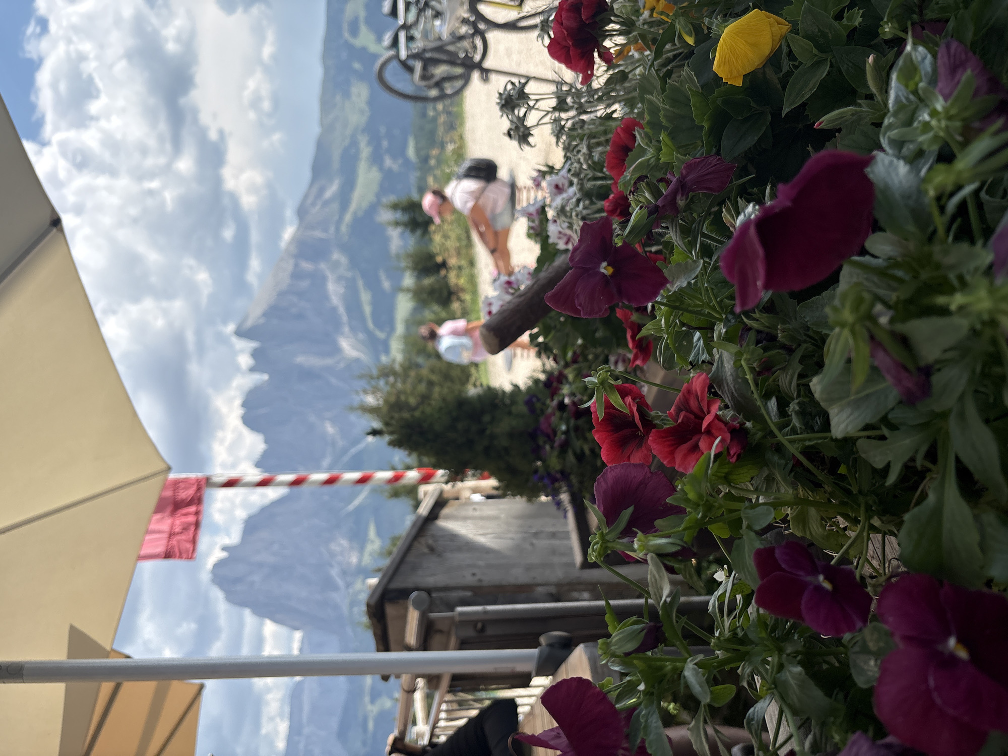 The image shows a close-up view of dark red and purple flowers in the foreground. Behind the flowers, there is a wooden structure, a red and white striped pole with a red flag, and a mountainous landscape under a cloudy sky. In the middle ground, two individuals are visible; one is standing and the other is sitting on what appears to be a child's ride. A bicycle is also present in the background. The setting appears to be an outdoor cafe or seating area, possibly at a viewpoint in Kastelruth (Castelrotto), Italy, given the mountainous terrain and architecture.