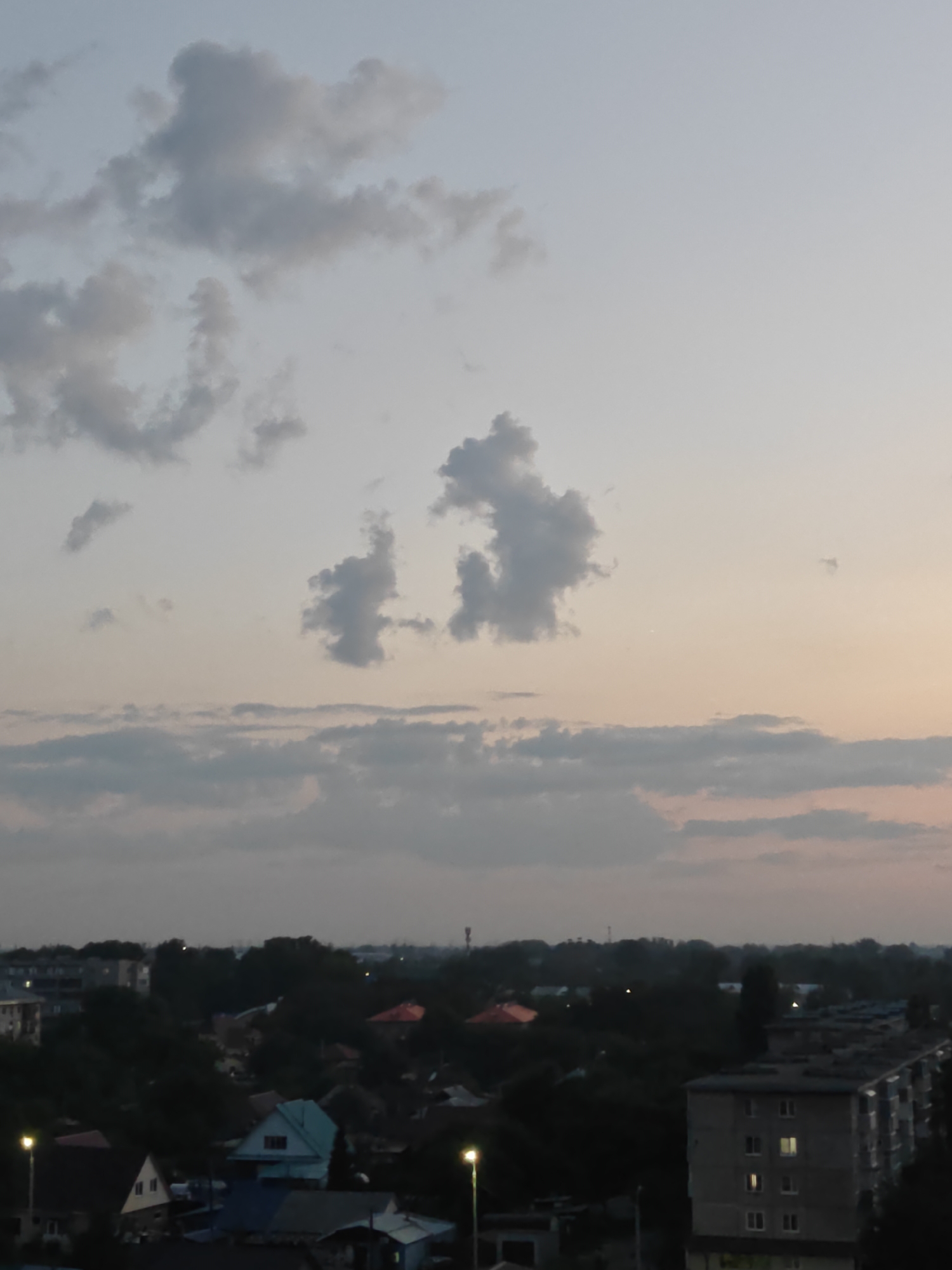 This is a high-angle, outdoor, daylight photograph of a residential area in Rubtsovsk, Russia, under a sky with scattered clouds. The sky transitions from a pale blue at the top to a soft orange hue near the horizon.

In the foreground, a collection of houses and apartment buildings are visible, mostly obscured by trees. The buildings vary in size and architectural style, with some appearing to be older, multi-story apartment blocks and others being smaller, individual houses with pitched roofs. A few of the apartment windows are illuminated. Streetlights are present on the left and right sides of the frame, suggesting this is a developed area.

The middle ground is dominated by a dense canopy of dark green trees, interspersed with the rooftops of houses. The roofs exhibit a variety of colors, including red, blue, and gray.

The background features a distant, hazy landscape with more trees and possibly some industrial structures or taller buildings in the far distance. The overall impression is a somewhat overcast but still bright day in a moderately developed urban or suburban setting.