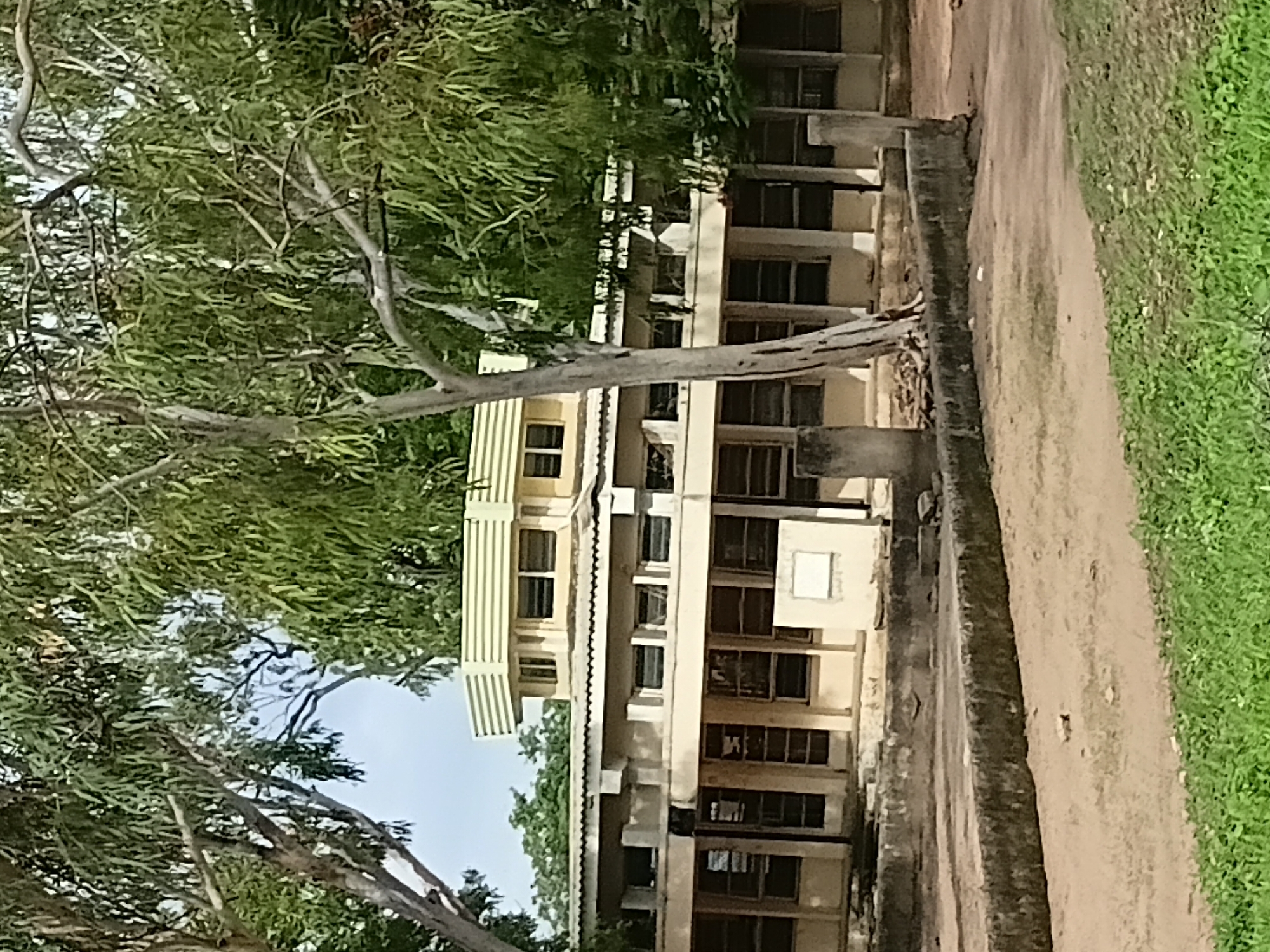 This image depicts the exterior of a single-story building with a raised, multi-windowed section on top, characteristic of institutional architecture found in Jalingo, Nigeria. The building's facade is painted a pale yellow, and it features a corrugated metal roof. Large trees with leafy branches partially obscure the view of the building, suggesting a natural or semi-developed environment. In the foreground, a low concrete barrier separates the building's immediate vicinity from a dusty, unpaved area. The overall impression is one of an established but perhaps aged structure, integrated into a landscape with significant vegetation.
