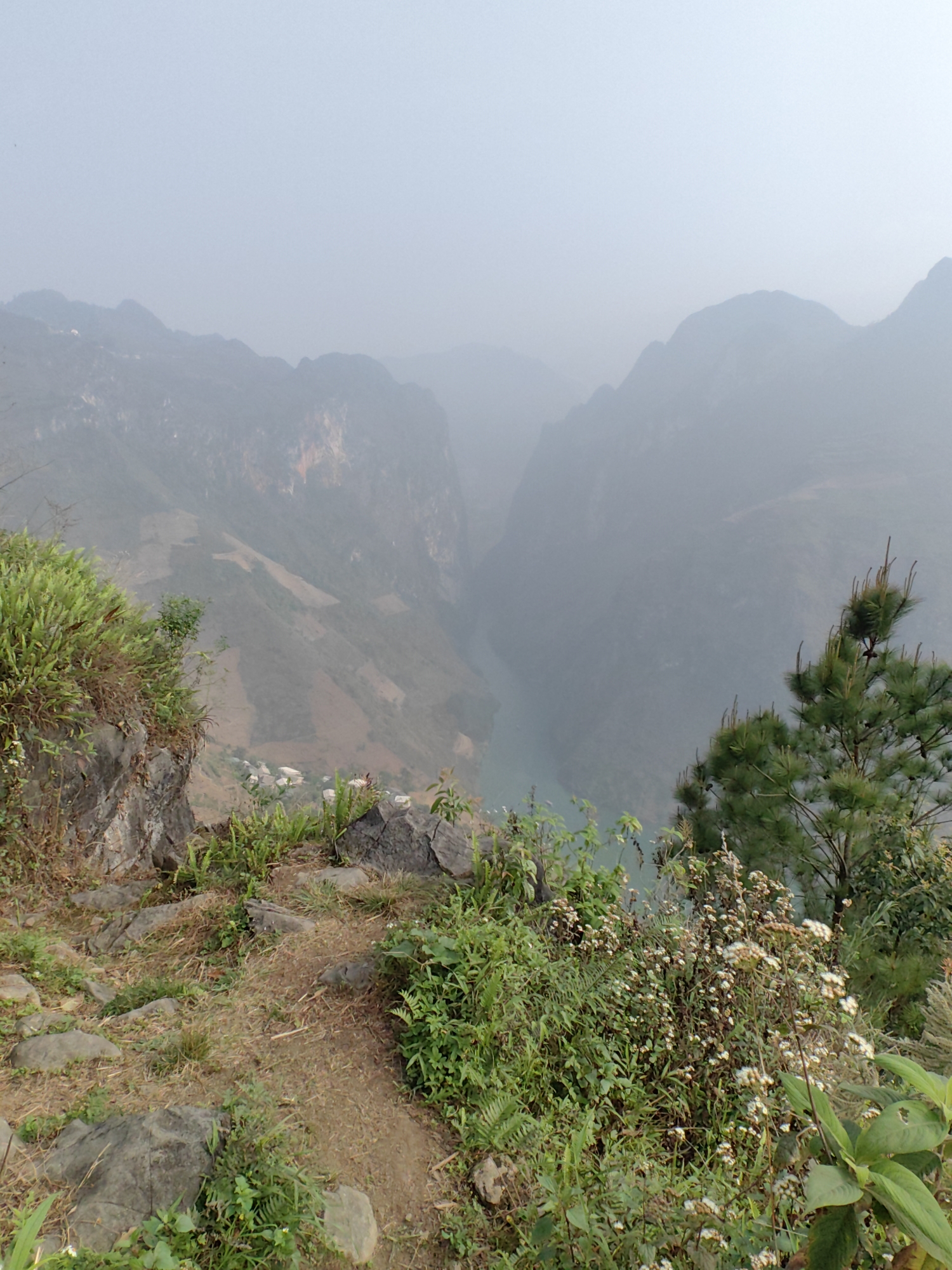 A hazy, wide-angle landscape shot taken from a rocky, grassy overlook in the Mèo Vạc Commune, Vietnam, with a river winding through a deep valley between mountains. The valley floor and lower mountain slopes are partially visible, while the peaks are obscured by dense haze or fog. Foreground details include small rocks, grasses, and flowering plants, which provide some depth to the shot. A pine tree is on the right. The sky is overcast and light gray.