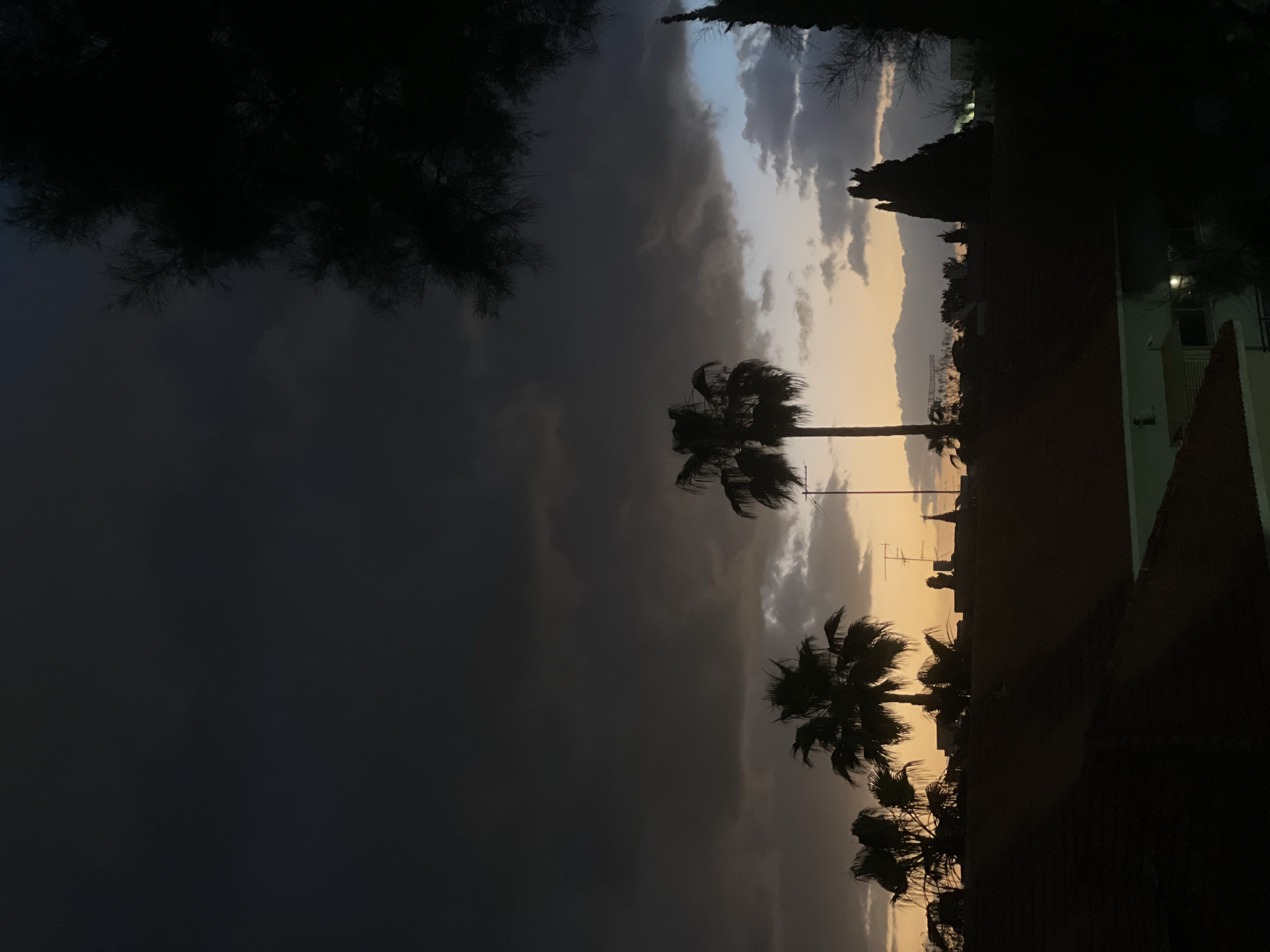 The image depicts a dusk or nighttime scene in Raanana, Israel. Silhouetted palm trees are visible against a backdrop of clouds and a fading sunset, transitioning from orange near the horizon to darker shades above. The silhouettes of buildings and possibly antennas are present. Branches of trees frame the top of the image.