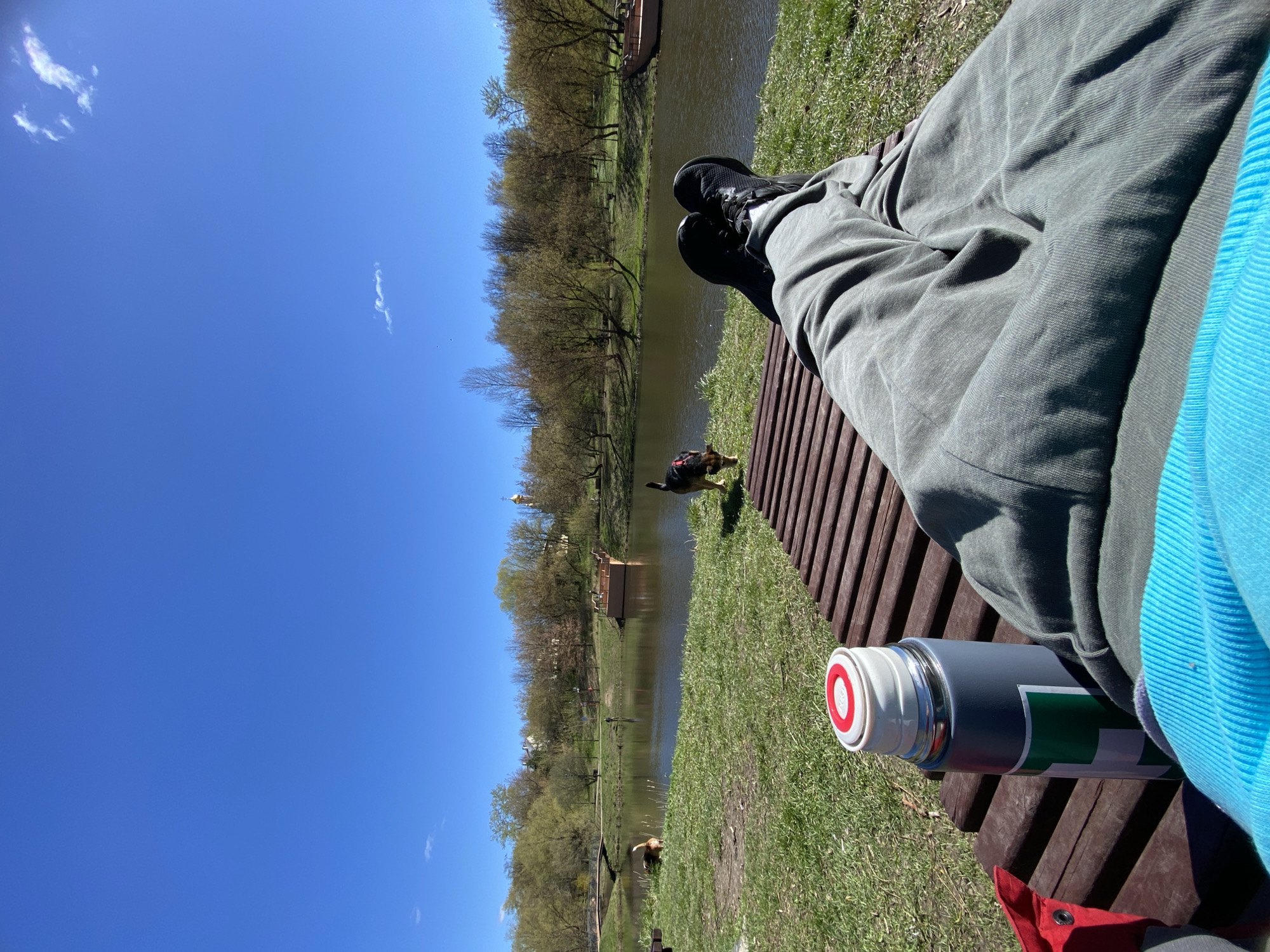 The image shows a person relaxing on a wooden bench next to a body of water, likely a pond or small lake, on a sunny day. The person is wearing dark sneakers and gray pants, with a blue garment visible on their side. A gray thermos with a white top and red accents sits next to them on the bench. In the background, there is a grassy area, trees, and water with some structures visible on the opposite bank. A dog is standing near the water's edge. The clear blue sky suggests fair weather. Based on the architectural style of the buildings and the overall environment, it is highly probable that the location is in Moscow, Russia, possibly in one of the city's parks or recreational areas.
