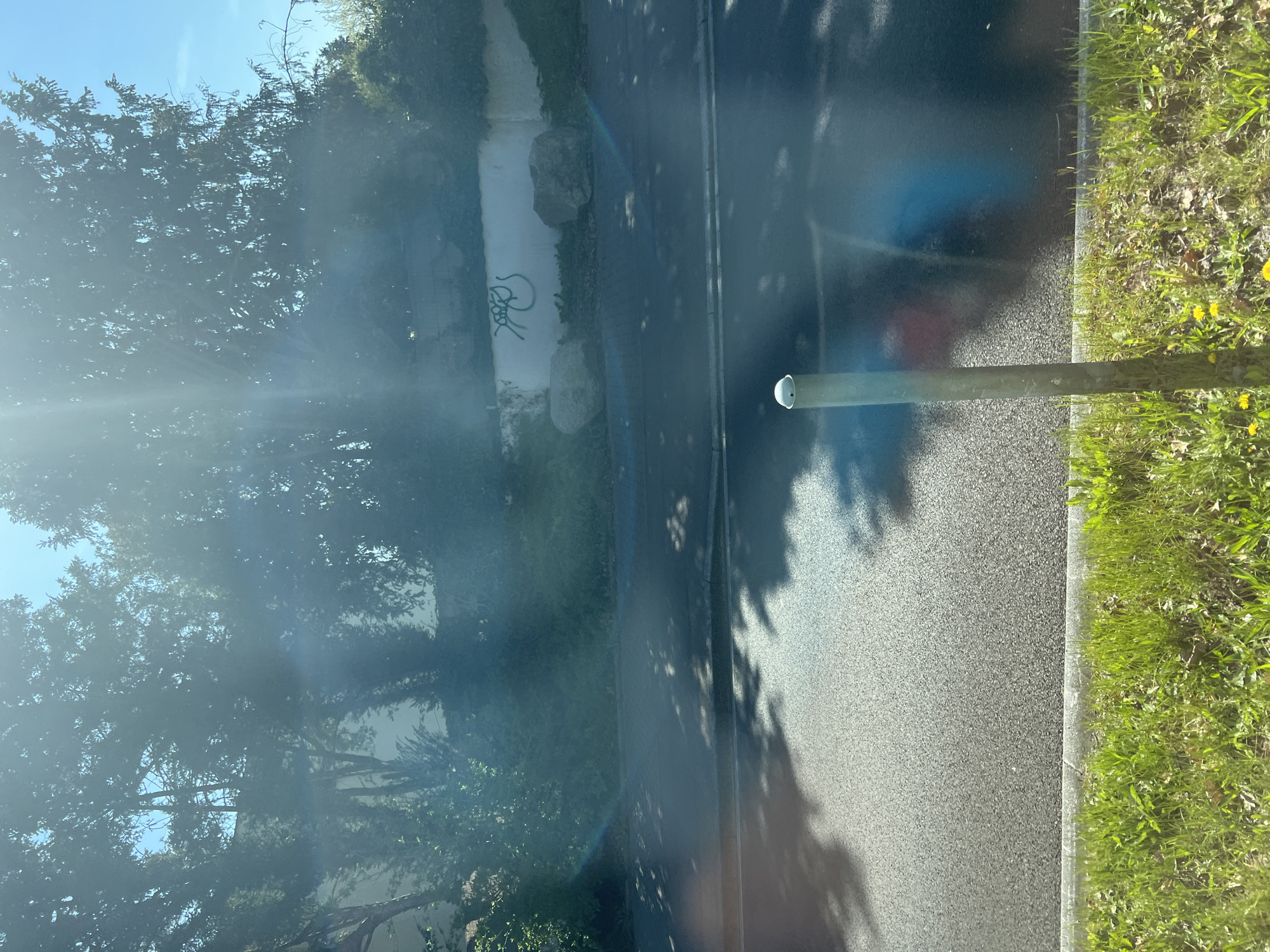 The image shows a street view taken through a window. On the right, there is a paved road with a grassy area adjacent to it. A gray metal pole stands near the road edge. To the left, there is a tree line, and a white wall with graffiti and two large stones. The location appears to be in a residential area in Strasbourg, France.