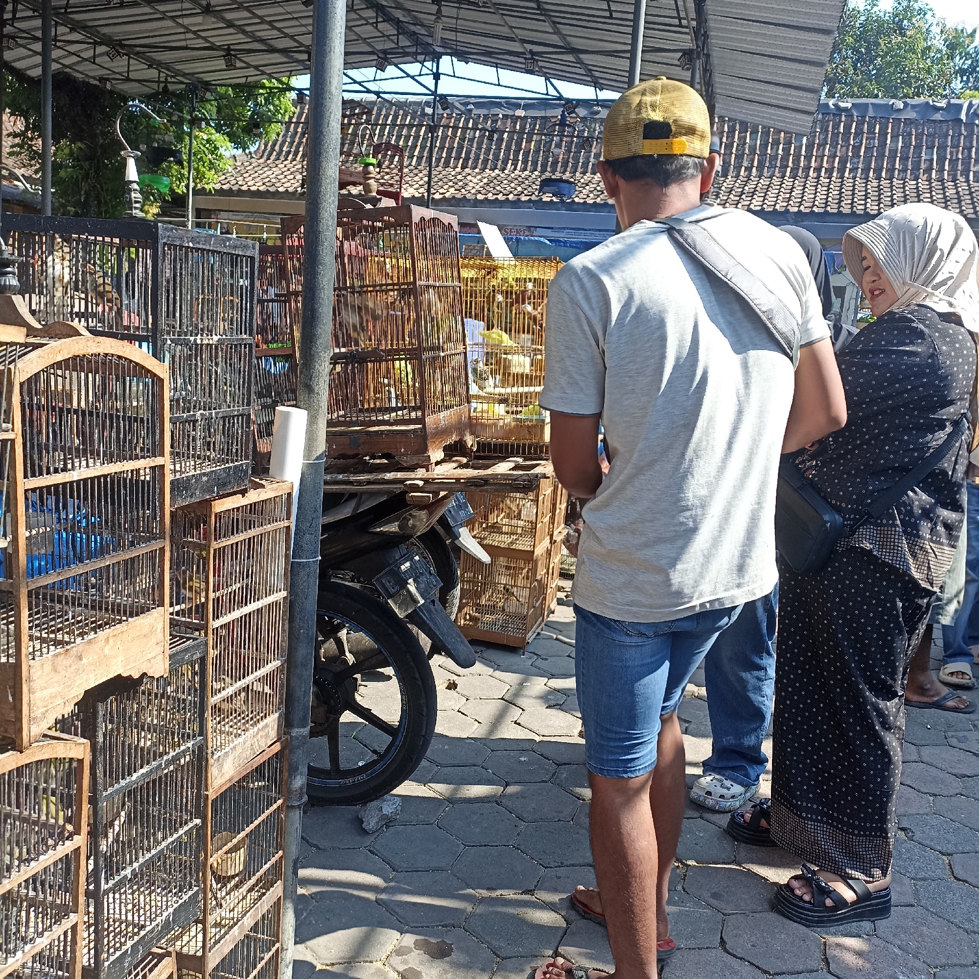A man wearing a yellow cap and a gray t-shirt, and a woman wearing a headscarf and a black patterned dress are standing next to each other, looking at bird cages. The man is holding a camera strap over his shoulder. The woman is smiling and looking towards the man. The bird cages are stacked on top of each other and appear to be made of wood. There are several birds inside the cages. A motorcycle is parked behind the cages. The ground is paved with hexagonal stones. The scene appears to be an outdoor market. The location is specified as in the city of Magelang, Indonesia.