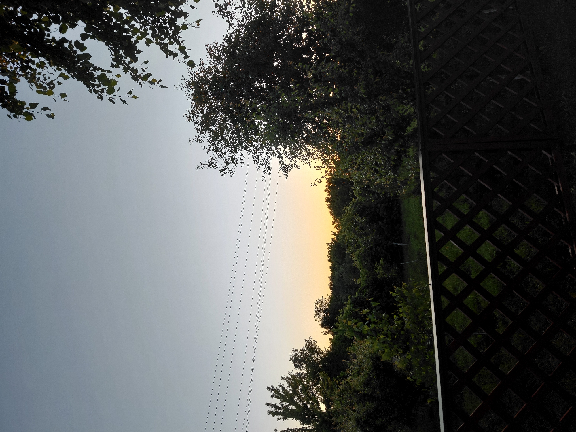 The image captures a serene outdoor landscape scene during either sunrise or sunset. The sky dominates the upper portion of the frame, displaying a gradient from a cool, light blue-grey on the left to a soft, warm orange-yellow on the right, indicating the low position of the sun just beyond the horizon.
A dense line of trees, silhouetted in dark tones, forms the horizon, stretching across the middle and lower right sections of the image and sharply contrasting with the bright sky. In the foreground, dark tree branches with visible leaves extend into the frame from the top left and slightly from the top center. Several thin, parallel power lines traverse horizontally across the mid-left to mid-right part of the sky.
On the far right, a tall, dark wooden lattice structure with a distinct diamond pattern, likely a fence or trellis, stands vertically, extending from the top to the bottom of the frame. Below the line of trees and to the left of the trellis, some dark green vegetation, possibly grass, is faintly visible.
The lighting conditions create a strong silhouette effect for the trees and the trellis against the luminous sky, enhancing the tranquil and peaceful mood of the scene. There are no people, explicit activities, or visible text in the image.