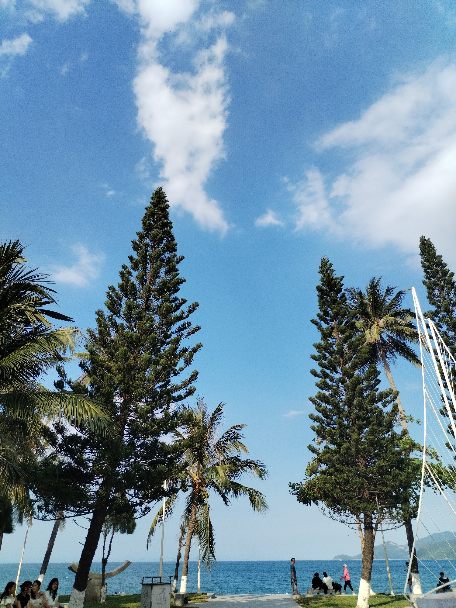 The image captures a scene along the coast of Nha Trang Ward, Vietnam, on a bright, sunny day with a clear blue sky dotted with scattered white clouds. Tall evergreen trees and palm trees dominate the foreground and midground, their green foliage contrasting with the vibrant sky. In the distance, the calm blue sea stretches towards a hazy horizon, with a faint outline of mountains visible.
Along the waterfront, a paved walkway runs parallel to the beach. On the grassy area beside the walkway, several people are present. On the left side, a group of four young women are seated, appearing to be conversing. Further along, near the water's edge, a few individuals are either standing or sitting on a bench. One person in a pink jacket is walking. To the right, part of a white structure, possibly a decorative sail or shade, is visible. There's also a trash receptacle located near the walkway. The overall atmosphere suggests a peaceful, recreational setting.