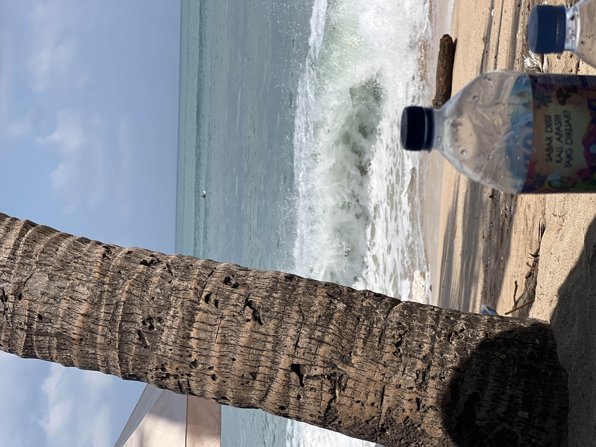A scene of a beach in Kuta, Indonesia, is depicted. In the foreground, a large palm tree trunk stands on the sandy beach, casting a shadow. A partially filled plastic water bottle with a label featuring text in Indonesian and cartoon characters is in focus. In the background, the ocean stretches to the horizon, with moderate waves breaking on the shore. A person is visible in the water, appearing to be surfing. The sky is partly cloudy, with a clear blue expanse above the horizon. The overall atmosphere is that of a sunny day at a tropical beach.