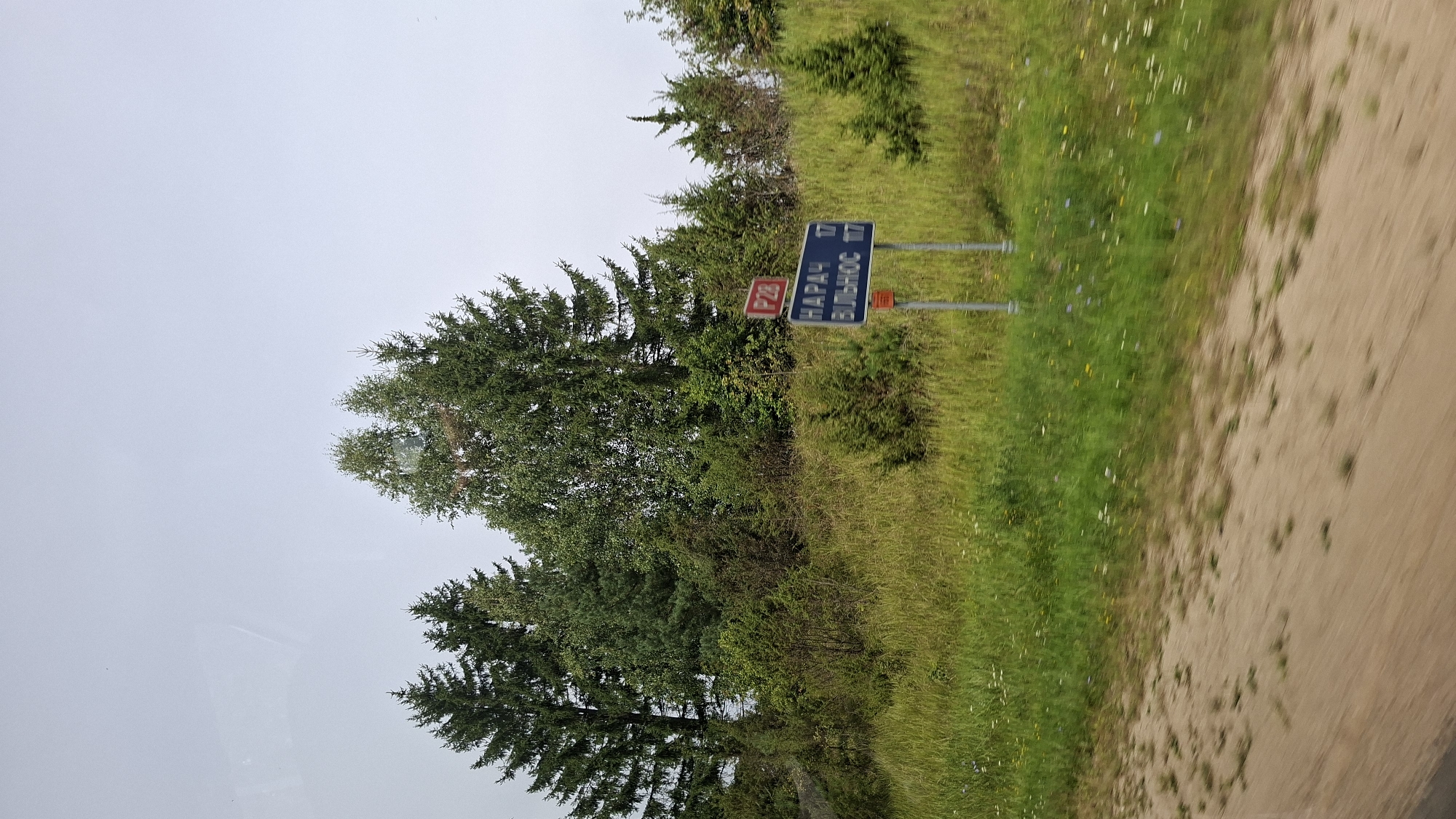 The image shows a roadside scene with a dirt path in the foreground and a grassy embankment with trees and a road sign in the background. The road sign is blue and white and displays Cyrillic text and numbers. The top sign is red and has "P28" on it. The text on the blue sign reads "НАРАЧ 17" and "ВІЛЬНЮС 117". The environment is characterized by lush green vegetation, including tall evergreen trees and bushes, and a cloudy sky. The overall impression is that of a rural or semi-rural setting. The location is identified as Мядзельскі сельскі Савет, Belarus, which is consistent with the Cyrillic script on the road sign. The image appears to have been taken from a moving vehicle, as evidenced by the motion blur on the foreground and lower parts of the scene. There are no people visible in the image.