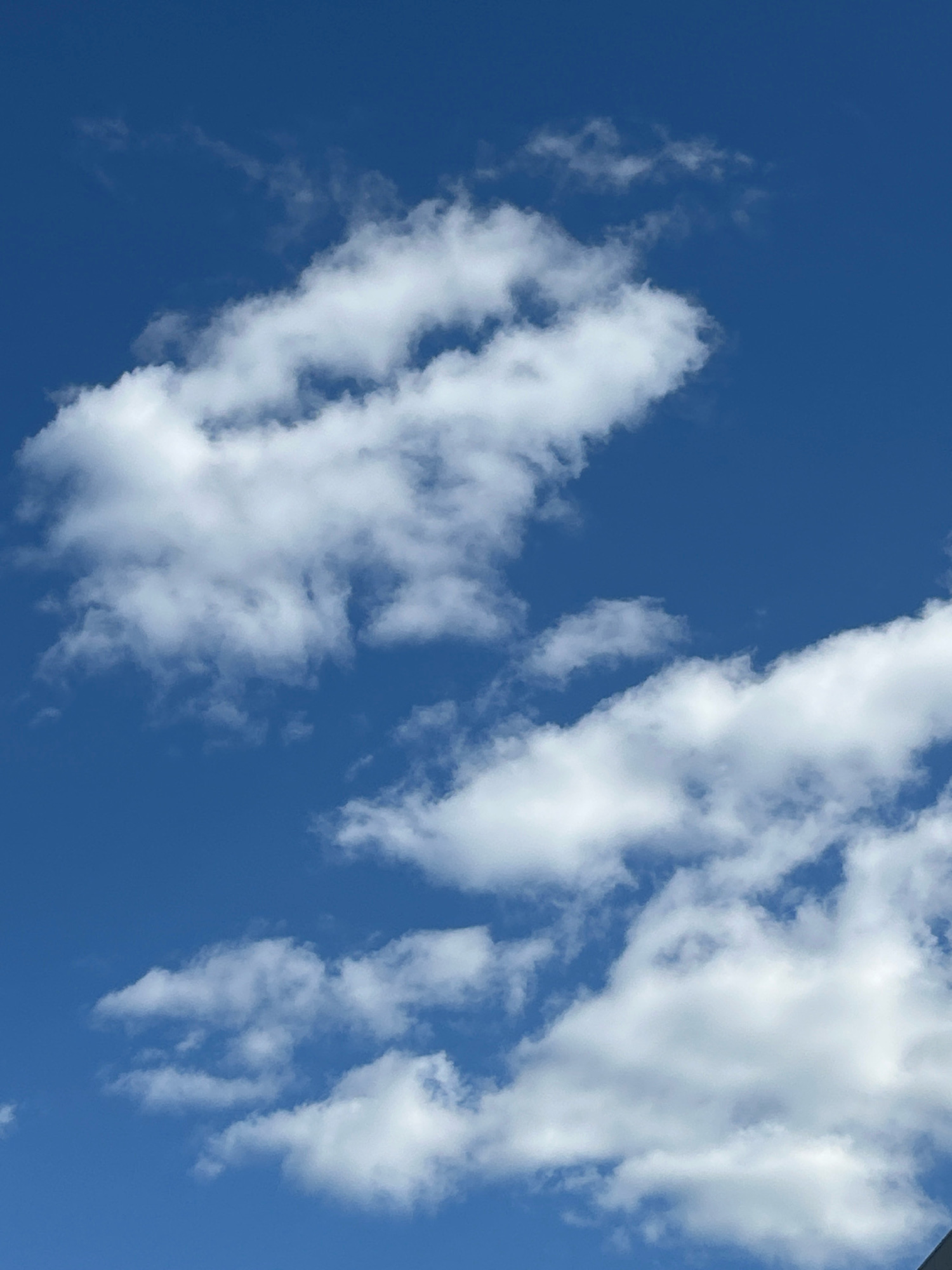The image depicts a clear blue sky with scattered white cumulus clouds. The clouds are fluffy and appear to be at a moderate altitude, casting soft shadows. The sky is a vibrant cerulean, indicating fair weather conditions. There are no visible man-made structures or any indication of the city of Astana, Kazakhstan within the frame. The image focuses solely on the natural phenomenon of the sky and clouds.