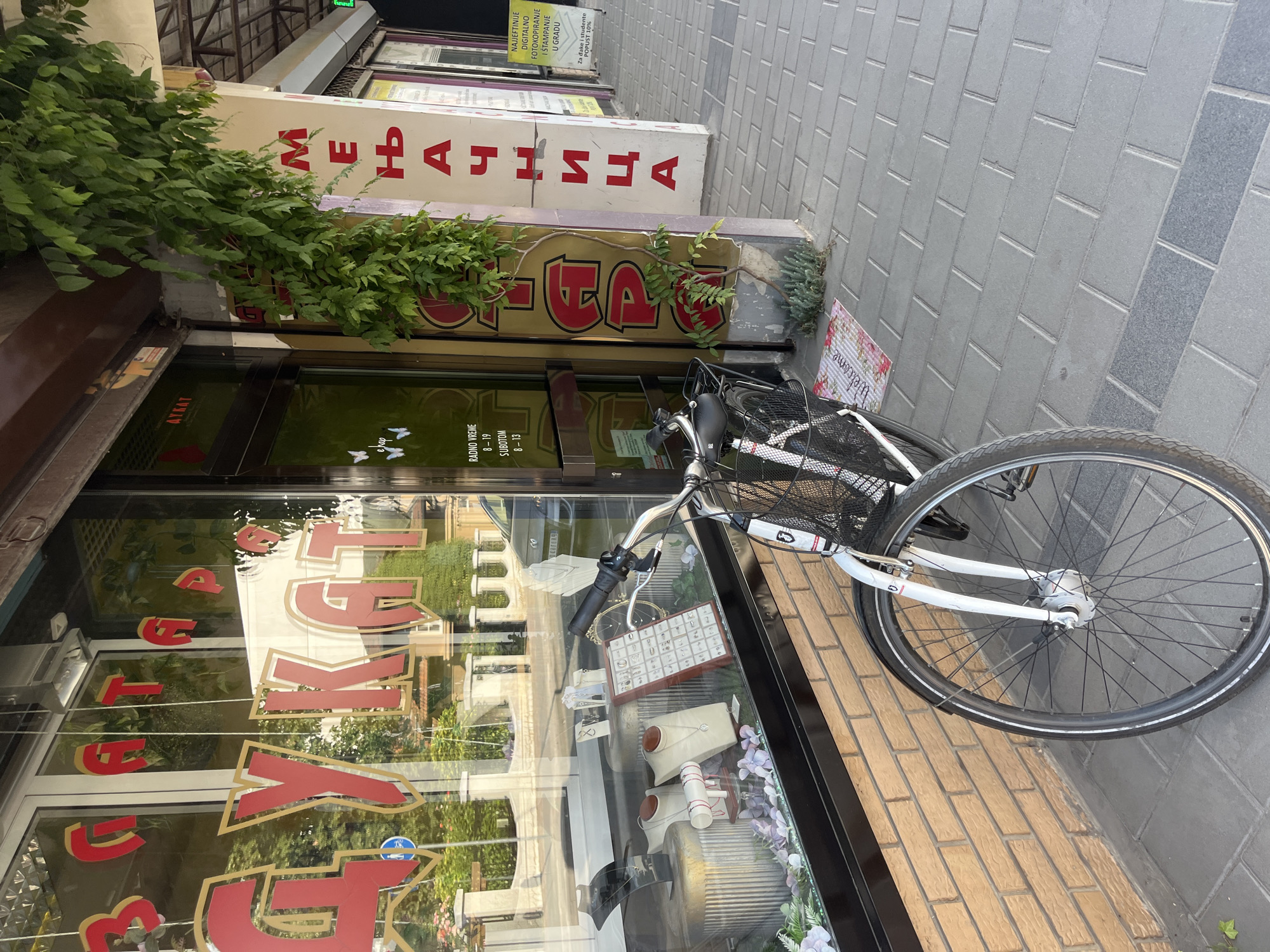 The image depicts a street view in the city of Cacak, Serbia, in front of a business. A bicycle with a basket is parked on the sidewalk, leaning against a brick wall. The bicycle is white with black tires and has a kickstand. In the background, the storefront of a business is visible. The window display showcases jewelry, including necklaces, rings, and earrings on stands. Red and gold lettering on the window and facade indicate the business name, which appears to be related to jewelry or precious metals. One sign, in Cyrillic, reads "ЗЛАТАР" (Zlatar), meaning goldsmith or jeweler. Another sign displays business hours: "RADNO VREME 8-19 SUBOTOM 8-13" (Working hours 8-19 Saturday 8-13). A large, leafy green vine drapes over the storefront's awning. The sidewalk is paved with grey interlocking bricks, and a small welcome mat is placed near the bicycle. The overall scene suggests a typical commercial street in the city.