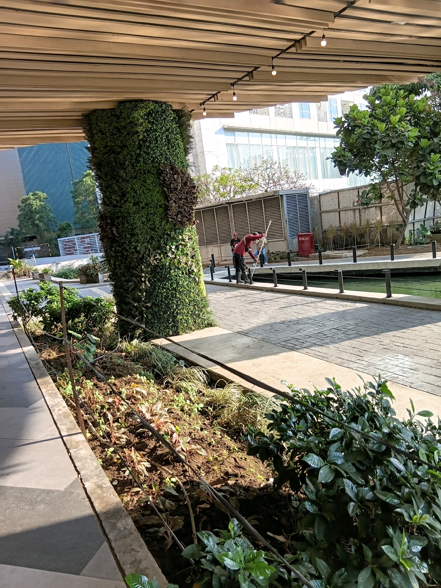 The image depicts an outdoor scene beneath a covered walkway with a slatted wooden ceiling. A large, cylindrical vertical garden, covered in dense green foliage with some brown sections, is prominently featured on the left. In the middle ground, two individuals are present near a body of water. One person, wearing a red shirt and black pants, appears to be cleaning the water with a long pole. Another person stands behind them. The area features a paved walkway with a brick-like pattern and a channel of green water bordered by dark posts. In the background, a modern building with large windows and trees are visible. The foreground shows a garden bed with various plants and soil. The scene is illuminated by sunlight casting shadows. The image is captured in Surabaya, Indonesia.
