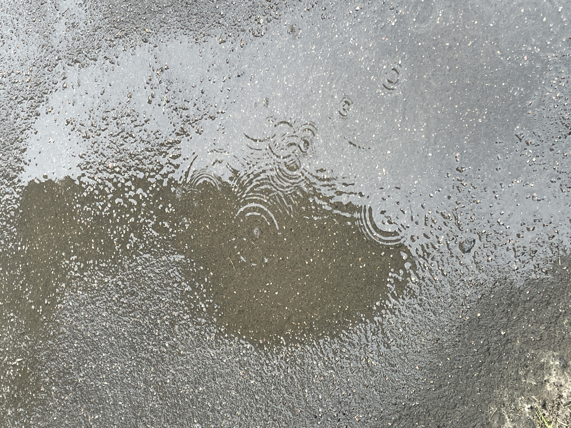 This is a close-up, overhead shot of a puddle on asphalt, likely in Krasnogorsk, Russia. The asphalt is wet and textured, with small pebbles visible. The puddle reflects the overcast sky, creating a muted gray and brown tone across the surface. Raindrops are actively falling, evidenced by concentric ripples spreading across the water's surface. One prominent set of ripples is in the left half of the image, with smaller, more dispersed ripples scattered throughout the rest of the puddle. There are no people or other distinct objects or structures visible in this close-up view of the wet pavement.
