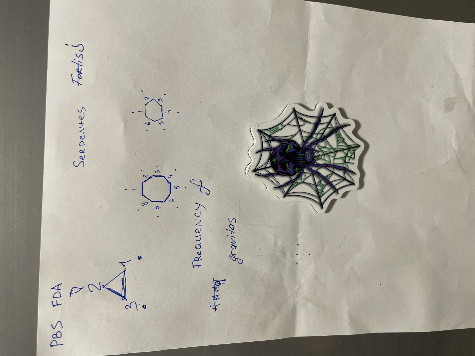 The image shows a piece of paper with handwritten notes and drawings. At the top left, "PBS FDA" is written in blue ink. Below this, there is a diagram of a triangle with numbers 1, 2, and 3 at its vertices, and a curved arrow pointing from "FDA" towards the triangle. To the right, "Serpentes Fortis" is written. Below these, there are two geometric figures. The first is an octagon with numbers 1 through 8 around its perimeter. The second is a hexagon with numbers 1 through 6 around its perimeter. Further down, "FREQUENCY of" and "#freq gravitas" are written. A sticker of a skull-faced spider on a web is placed in the bottom right portion of the paper. The background appears to be a textured surface, possibly a table. The location in Sakhu, Thailand, is not depicted in the image.