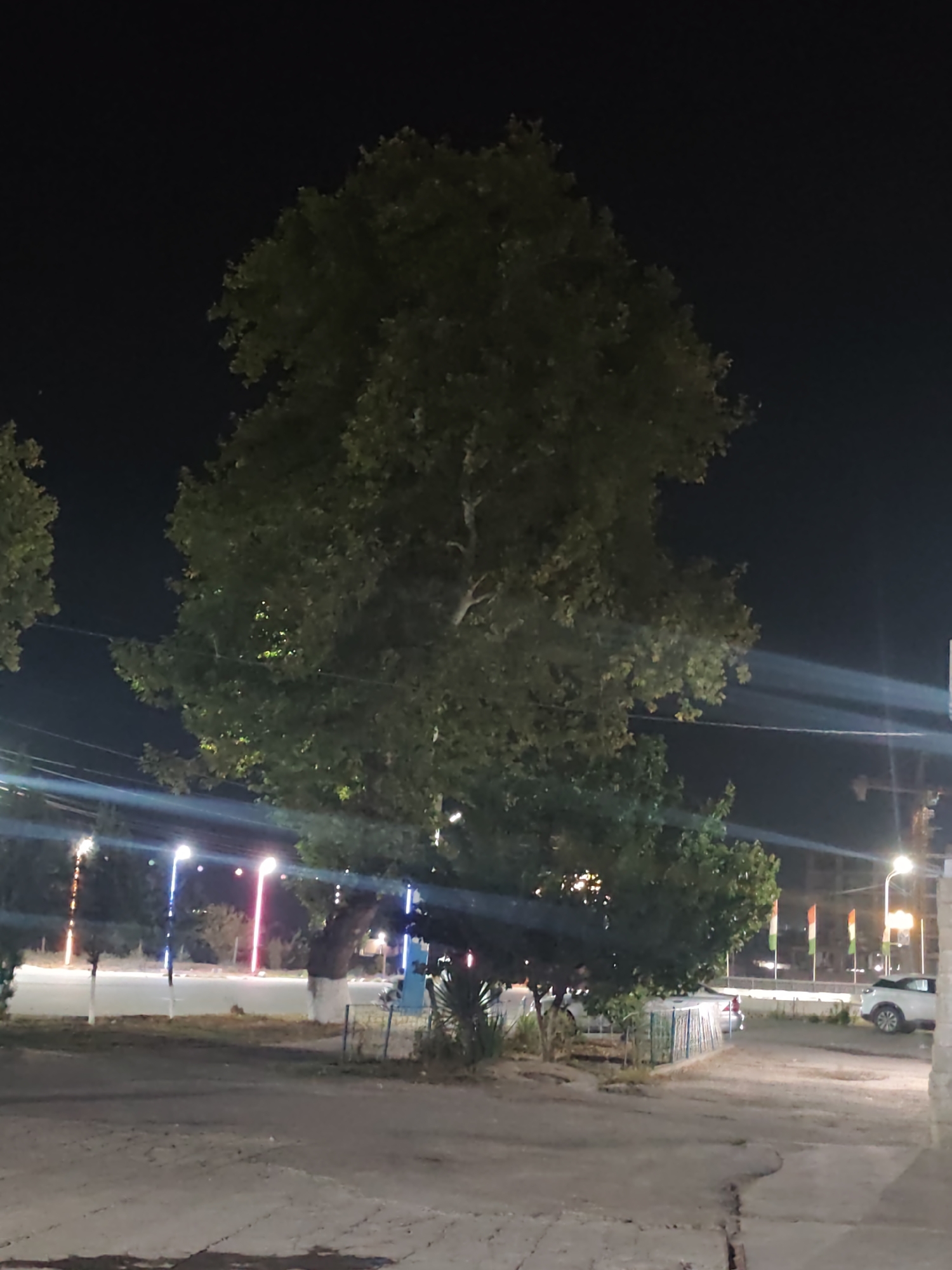 An exterior nighttime, eye-level shot captures a large, leafy tree in the center of the frame, its branches extending towards the dark sky. In the background, a street is lined with illuminated lampposts featuring red and blue lights. Further back, flags are visible, suggesting a public area. A white vehicle is parked on the right side of the scene, and another vehicle is partially visible on the left. The ground in the foreground appears to be paved and somewhat cracked. The overall scene is dimly lit, with the artificial lights from the street and possibly buildings providing illumination. The location is identified as Yovon, Tajikistan.
