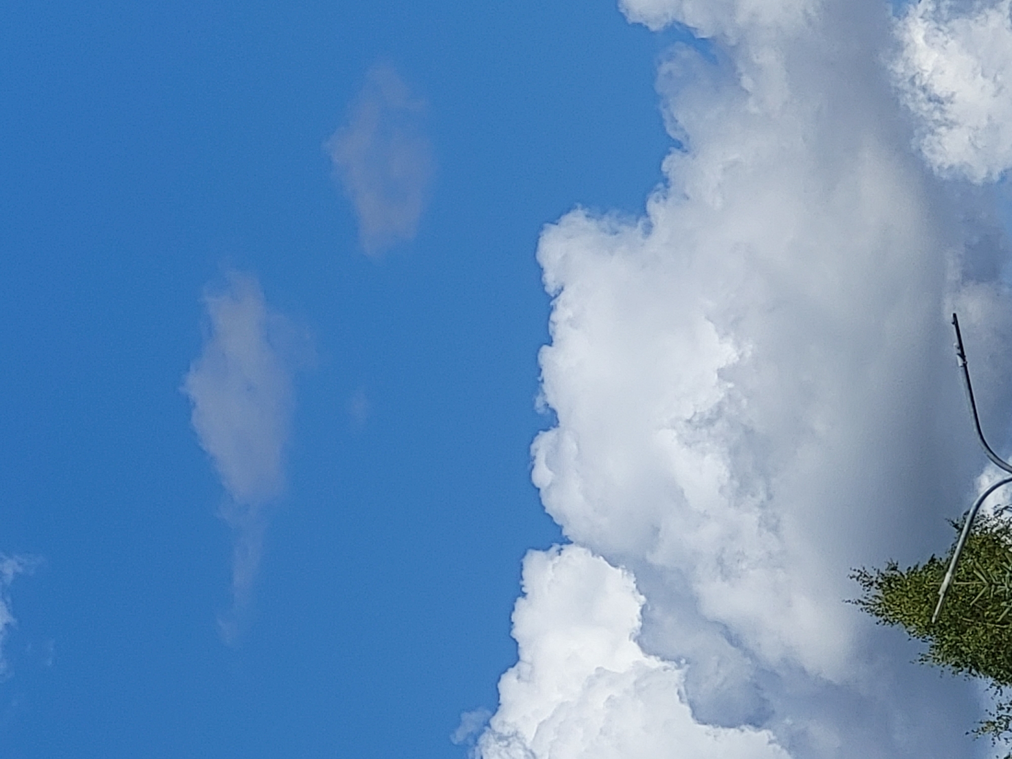 A clear blue sky serves as the backdrop for scattered, fluffy white clouds. In the foreground, the top of a green tree is visible, partially obscured by a street light fixture. The scene appears to be an outdoor environment, likely a park or street in Ozolnieki, Latvia. There are no people or animals present in the image.