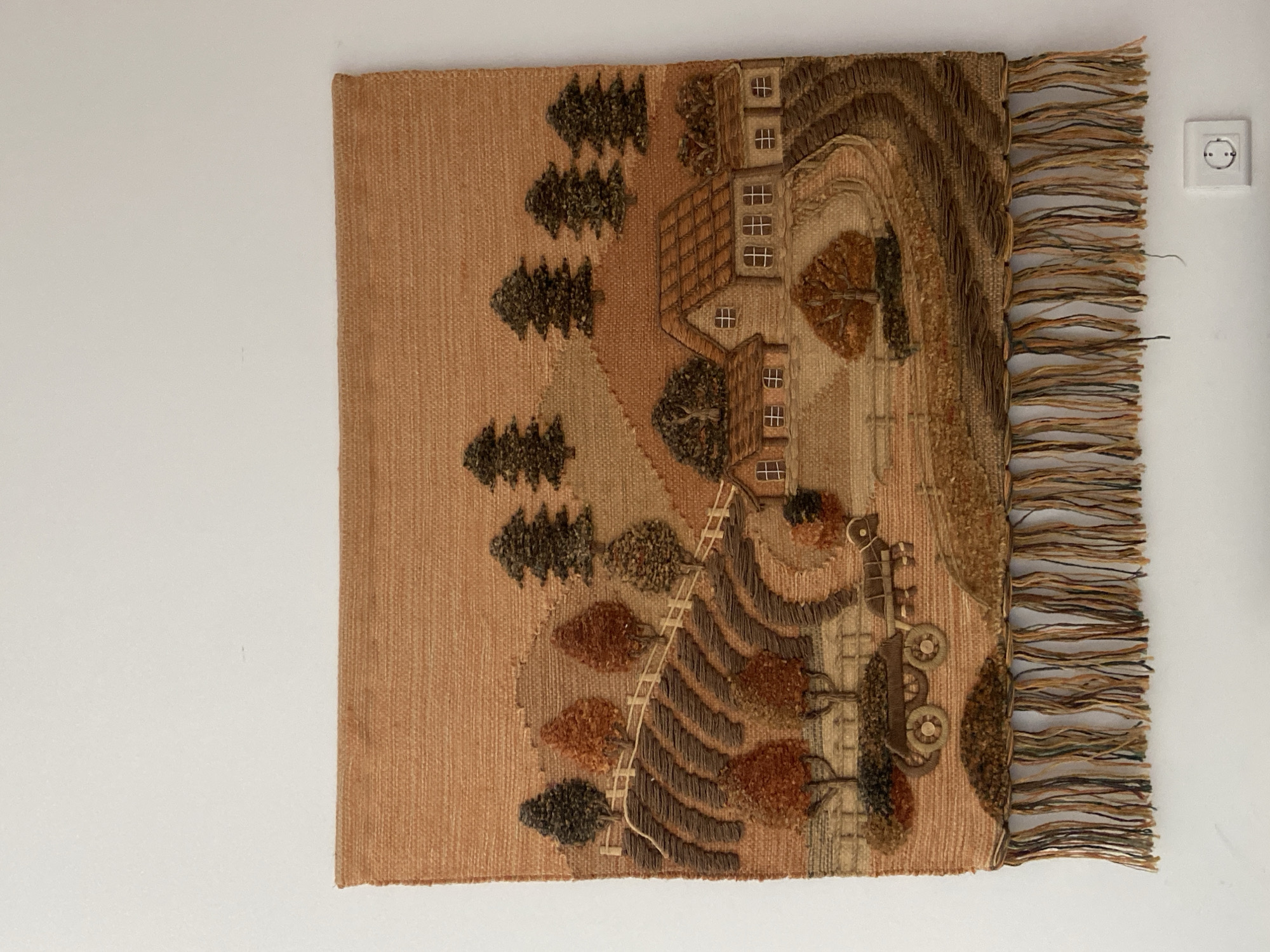 A handcrafted textile art piece, likely a tapestry or wall hanging, is displayed against a plain white wall. The artwork depicts a rustic, hilly landscape scene rendered in a palette of earthy tones including various shades of brown, tan, green, and orange.
The tapestry features several multi-story houses with prominent windows, nestled into what appears to be terraced hills or mountains. Numerous trees, both dense, dark green coniferous types and lighter, rust-colored deciduous trees, are scattered across the landscape. Winding paths or fields are suggested by textured patterns in the textile. A fence or railing structure appears on one of the slopes, and in the lower right, there is a depiction of an old-fashioned vehicle, possibly a cart or early tractor, with distinct large wheels.
The textile incorporates varying textures and pile heights, with elements like the trees and parts of the hills showing a more raised, shaggy finish, adding a three-dimensional quality to the design. The right edge of the tapestry is finished with a decorative fringe made of multi-toned threads. To the right of the tapestry, on the white wall, a standard white electrical outlet with two circular sockets is visible. The scene evokes a tranquil, pastoral setting. No visible text is present within the artwork or its immediate surroundings.