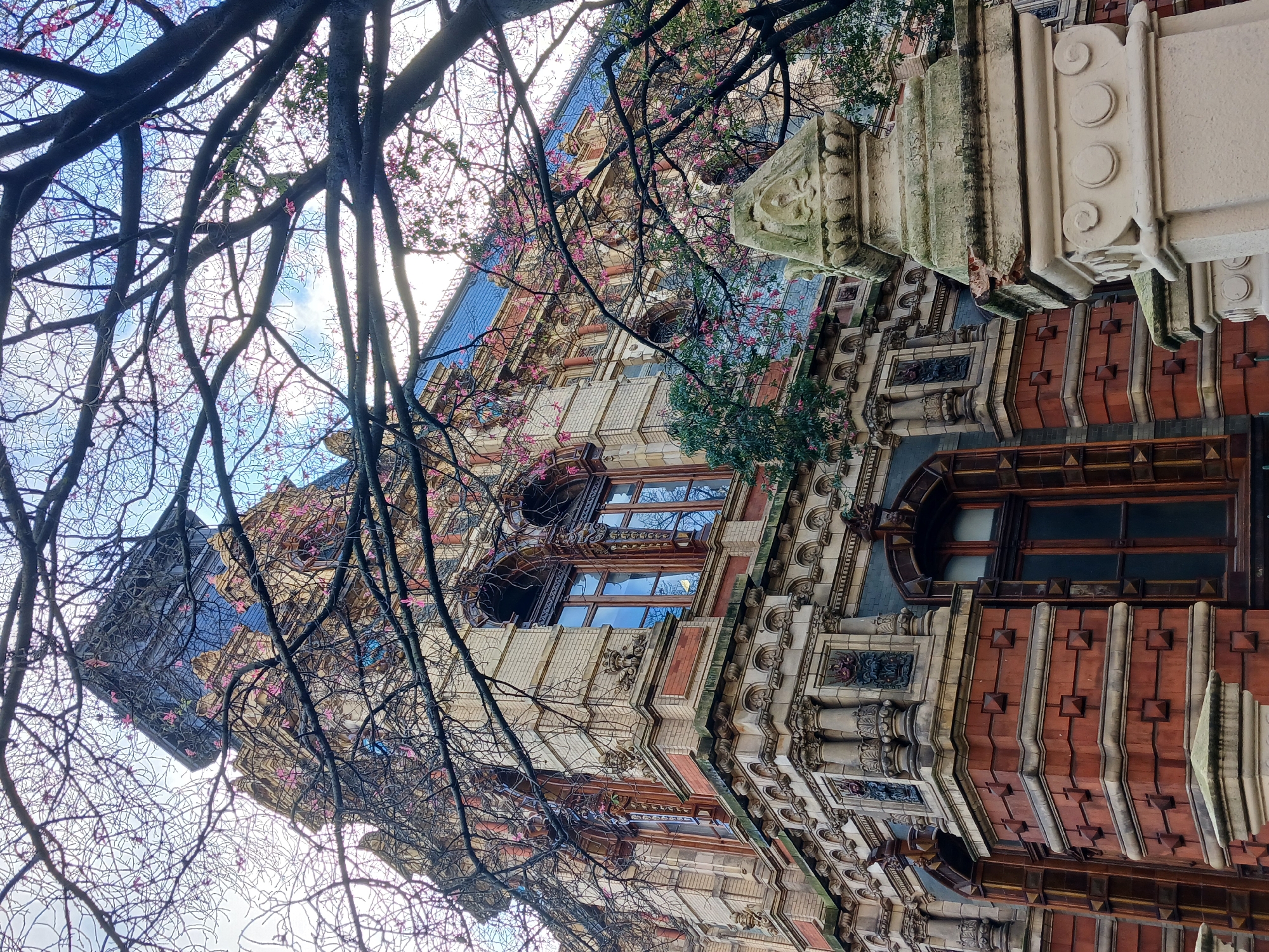 This image presents an upward perspective of an ornate architectural facade, partially obscured by a dense network of tree branches. The building, situated in Buenos Aires, Argentina, showcases a grand, historic design with intricate details, characteristic of late 19th or early 20th-century architecture.
The facade is characterized by a rich blend of materials and patterns. Prominent sections feature reddish-brown brickwork or possibly terra cotta, arranged in textured panels with projecting square motifs. These are contrasted with lighter, cream-colored stone or stucco elements, including decorative columns, pilasters, ornate capitals, carved embellishments, and elaborate cornices. The windows are varied, encompassing both arched and rectangular forms, with some reflecting the bright sky. A distinct blue-tiled or slated roof is visible at the top of the structure.
In the foreground, a multitude of dark, gnarled tree branches reach across the frame, some bearing small, delicate pink blossoms, indicative of springtime in the Southern Hemisphere. The sky, seen through the branches, is bright and partially cloudy, suggesting it is daytime, likely late morning or early afternoon. No people or activities are visible, and there is no discernible text within the image. The composition emphasizes the contrast between the organic forms of nature and the detailed artistry of the urban environment.