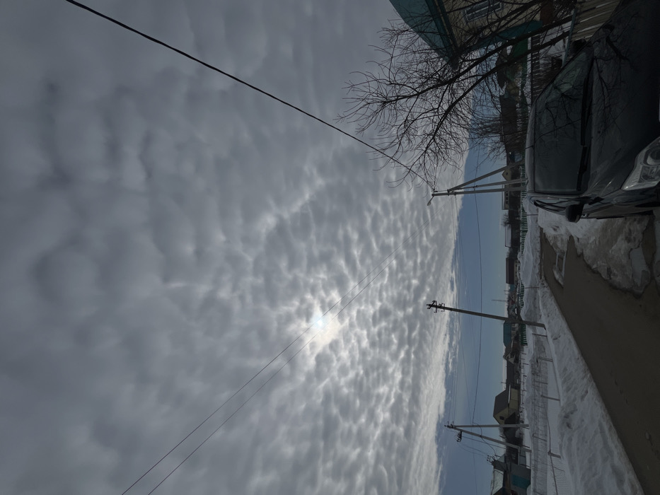 This image depicts a residential street scene in Starobaltachevo, Russia, under overcast skies during a winter or early spring period. The sky is predominantly covered by a layer of altocumulus clouds, appearing mottled and grey, with a bright spot indicating the obscured sun in the upper left quadrant. Towards the horizon, the sky transitions to a lighter blue.
The ground is heavily snow-covered, with accumulated snow forming drifts along the sides of a narrow, dark asphalt road that extends into the background. Portions of the road are clear, revealing asphalt, while other sections show melting snow and ice.
Utility infrastructure is prominent, including several wooden utility poles with multiple power lines running horizontally across the frame. One pole in the mid-ground on the right features a streetlamp.
A dark-colored sedan, identified as a Ford Focus, is parked on the right side of the road, facing away from the viewer towards the background. Its front bumper, grille, and hood are visible, with reflections on the windshield and body.
On the far right, a large, leafless deciduous tree with dark, intricate branches partially obscures a light-colored building with a distinctive teal-colored roof. In the background, numerous single-story and two-story houses with various roof colors (e.g., brown, green) are visible amidst the snow-covered landscape, separated by fences. No individuals or active human interactions are present in the scene.
