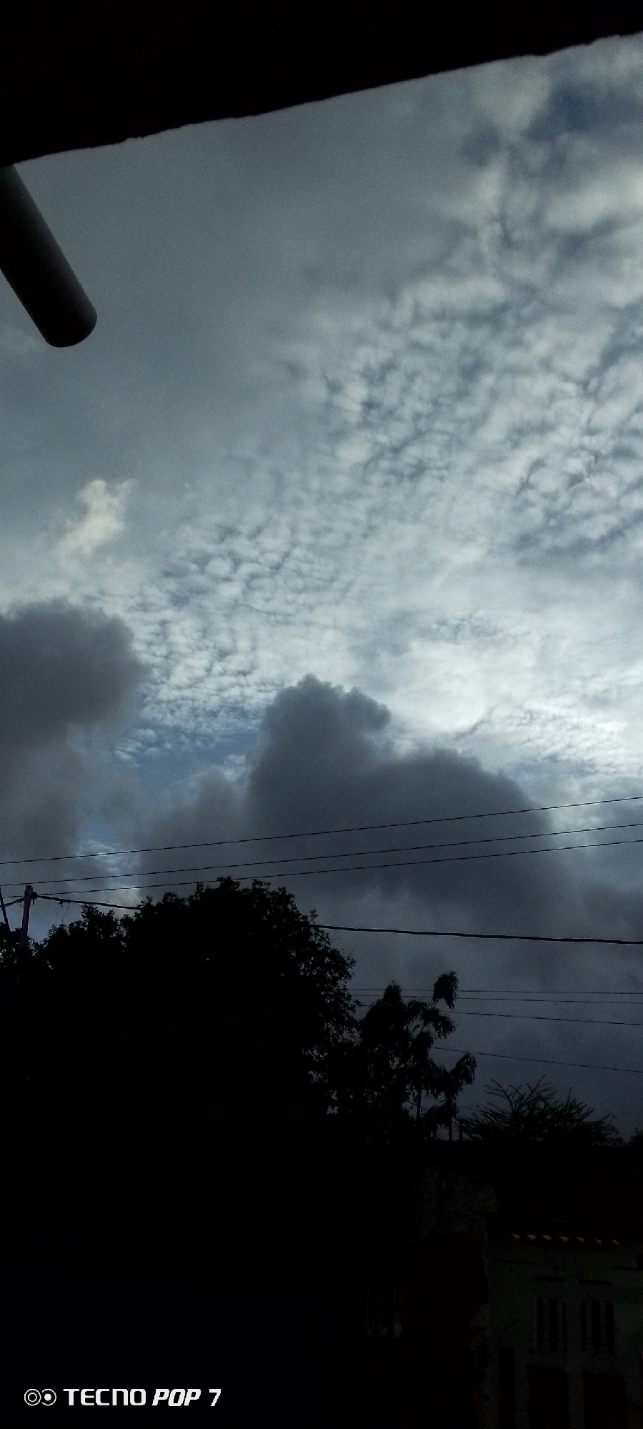 The image captures a cloudy sky above a silhouette of trees and power lines, with a portion of a building visible at the bottom right. The scene appears to be an outdoor environment, likely in the city of Altagracia, Venezuela, given the context provided. The sky is predominantly gray with some lighter patches of white clouds, suggesting overcast weather. In the foreground, the dark silhouettes of trees and vegetation are prominent, with several horizontal power lines crossing the frame. A sliver of a building, showing some architectural detail, is visible in the lower right corner, partially obscured by darkness. The overall mood is somber, possibly indicating approaching rain or a generally gloomy day. No people or specific actions are depicted. The timestamp "TECNO POP 7" is visible in the lower left corner, indicating the device used for capture.