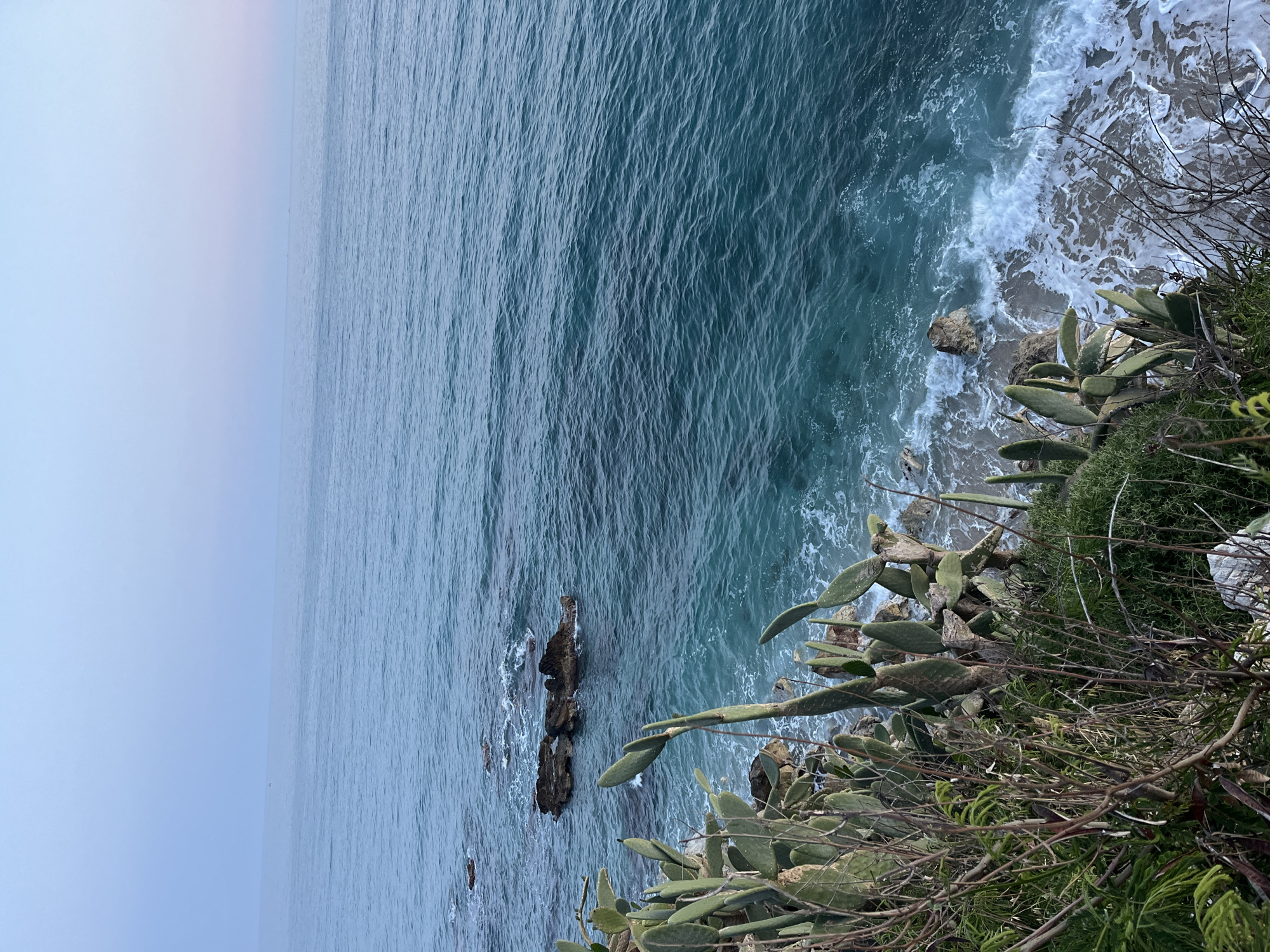 The image captures a view from a cliff overlooking the Mediterranean Sea, likely in the vicinity of Alanya, Turkey. The scene is dominated by the turquoise water of the sea, displaying gentle waves. The coastline is visible on the right side of the frame, marked by rocky terrain and vegetation, including prickly pear cacti. The sky above the sea is a pale blue, indicating either early morning or late afternoon light conditions. There are no people visible in the image.