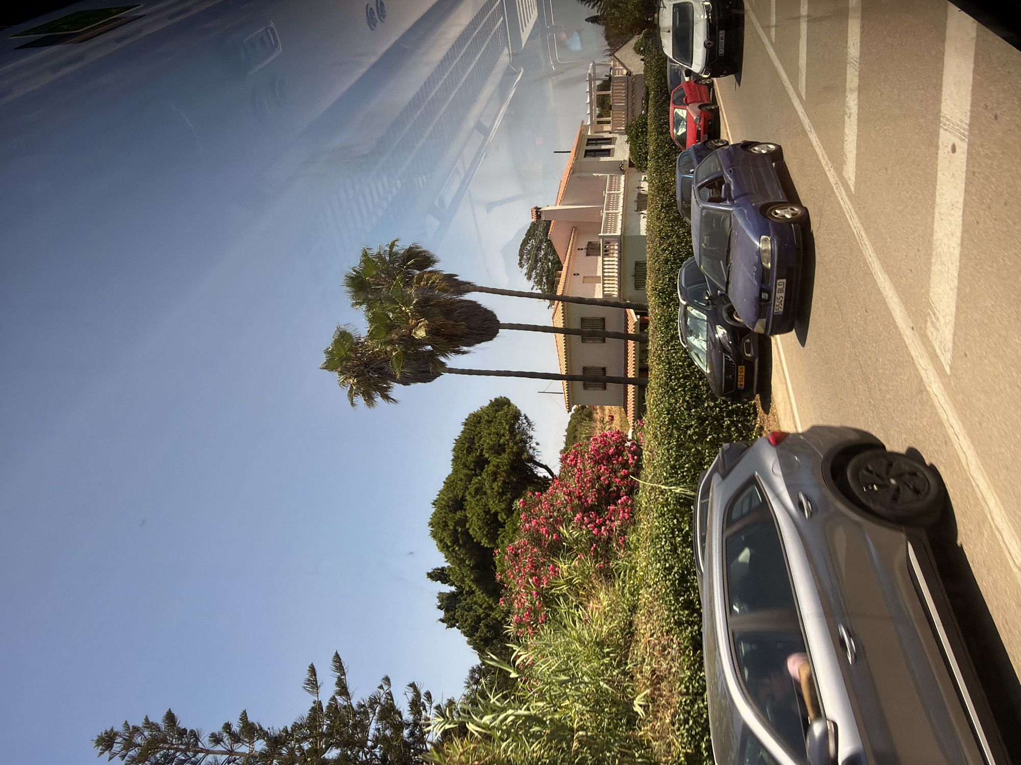 The image captures a street scene in Vélez-Málaga, Spain, on a sunny day. In the foreground, a silver SUV is seen from its side, with a person's arm resting on the open window. The vehicle is on a paved road with white lane markings. To the right, several other cars are driving on the same road, including a blue hatchback, a red sedan, a black SUV, and a white van. Behind the cars, a dense hedge runs along the side of the road, interspersed with flowering pink bushes and tall green vegetation. Beyond the hedge, a two-story white house with an orange tiled roof is visible, featuring a balcony and windows. Several palm trees, some tall and slender, others with broader fronds, are scattered throughout the landscape, with a large evergreen tree also present. The sky is clear and blue. Reflections are visible on the right side of the image, suggesting it was taken from inside a vehicle.