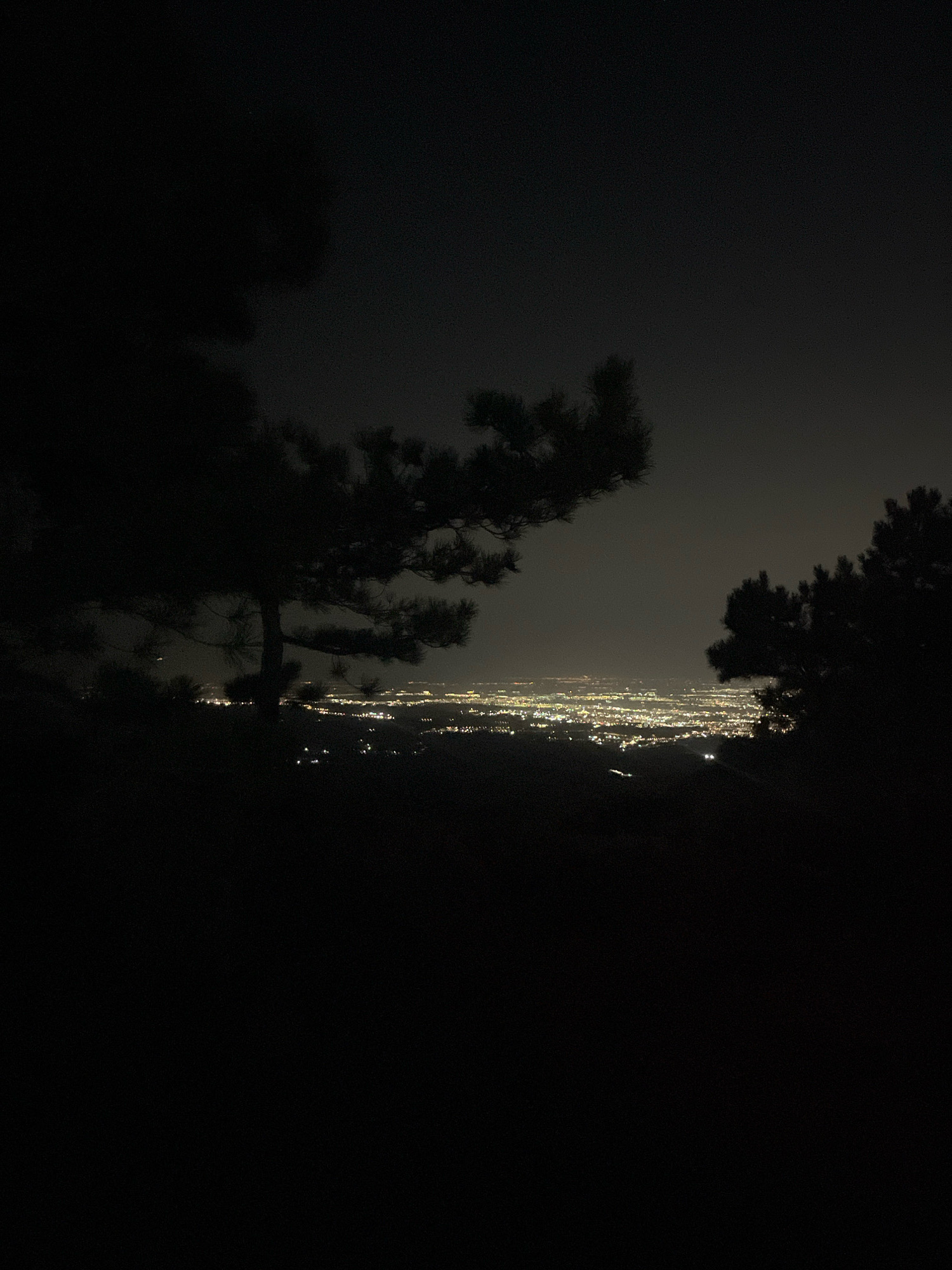 A nighttime cityscape is visible in the distance, illuminated by countless lights. Silhouetted trees frame the view from the foreground, with a large pine tree in the center. The landscape appears to be elevated, suggesting a viewpoint from a hill or mountain overlooking the city. The sky is dark and overcast, with a faint glow from the city lights reflecting off the clouds. The overall impression is one of quiet observation of a sprawling urban area at night.