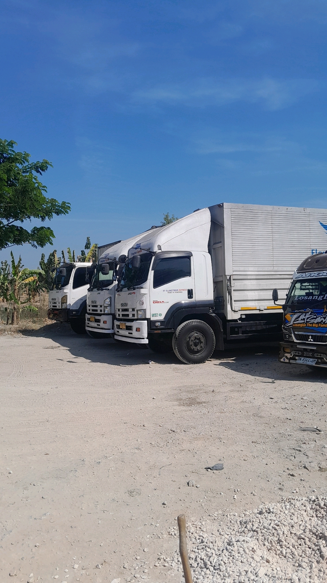 The image depicts a row of parked trucks, possibly in a lot or industrial area, under a clear blue sky with wispy clouds. The trucks are primarily white, with some logos and text visible. The ground is a dusty, gravelly surface with tire tracks. To the left, there are some trees and what appear to be banana plants, suggesting a tropical or subtropical environment. A shovel handle is visible in the foreground on the right side, partially buried in gravel. The scene is well-lit, indicating daytime. The presence of multiple delivery trucks suggests a logistics or transportation hub. The overall impression is one of a functional outdoor space, likely used for commercial purposes. The location is identified as Kedungtuban, Indonesia, a region known for its agricultural activities and rural landscapes.