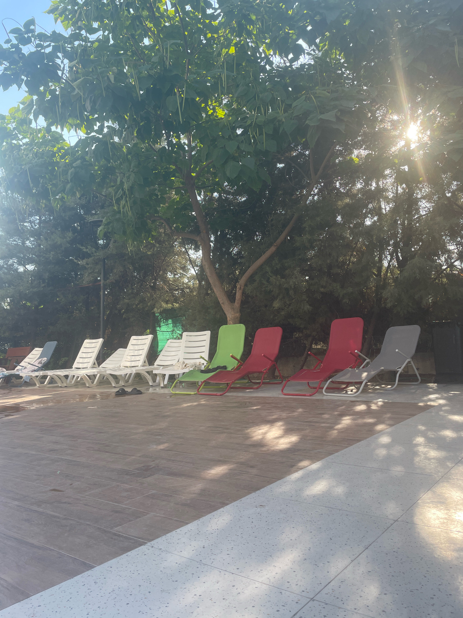 This is a sunlit outdoor scene with a row of lounge chairs by a tiled patio and a pool area. The chairs are arranged in a line, with several white plastic loungers in the foreground, followed by a green, two red, and a gray metal-framed lounger. Behind the chairs, a large tree with long seed pods casts dappled shadows. The background features dense foliage and a bright sky with sun flares visible through the leaves. The patio consists of light-colored tiles with a speckled pattern and a section of wood-look tiles. The overall impression is of a relaxed, possibly resort-like setting. The location is identified as Yunus Emre, Turkey.
