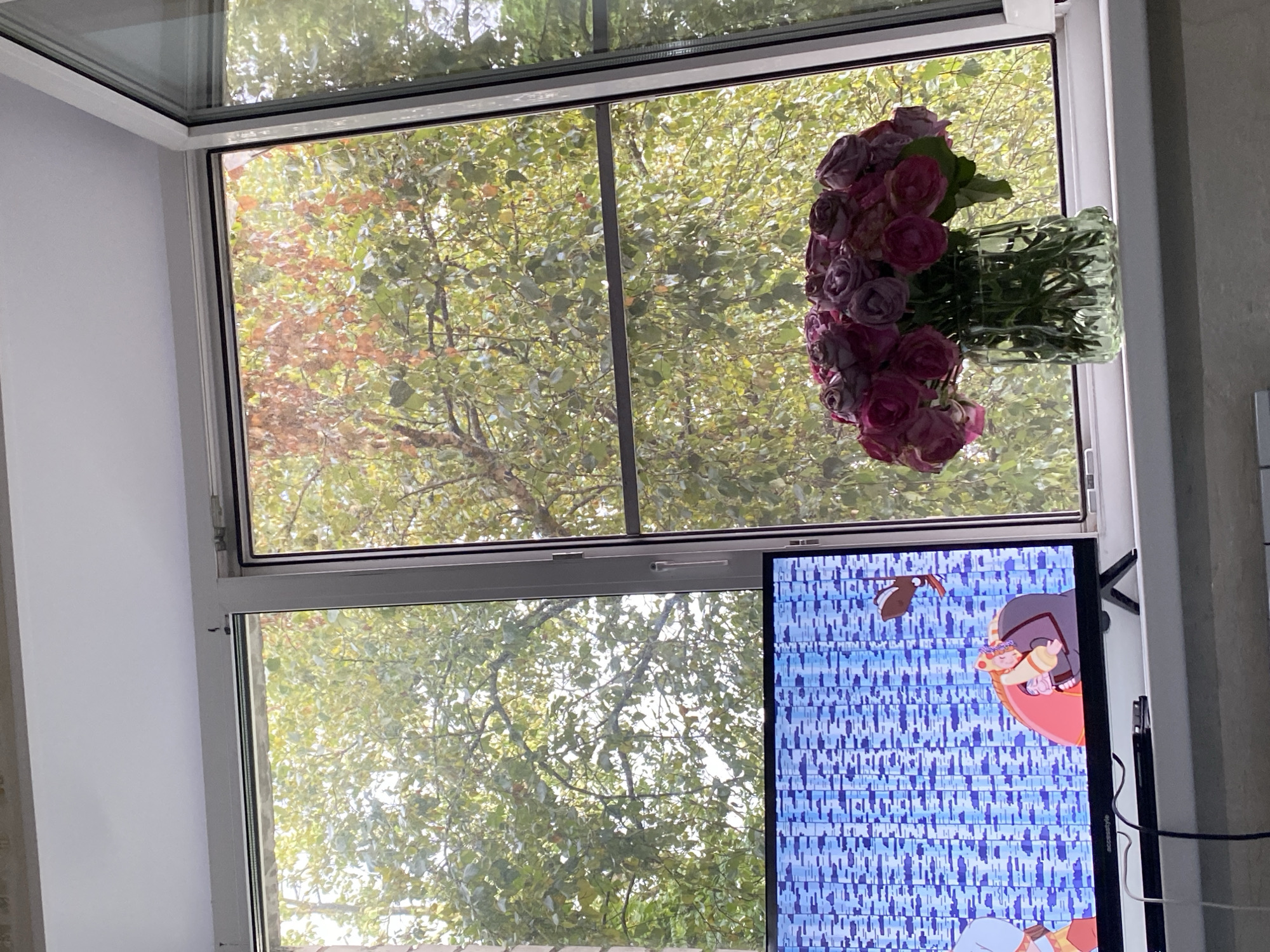 A television screen displays a cartoon with a blue, cloud-like background and two characters. To the right of the television, a glass vase holds a bouquet of pink and purple roses. The scene is set on a windowsill, with a window looking out onto lush green trees. The location is Lomonosov, Russia.