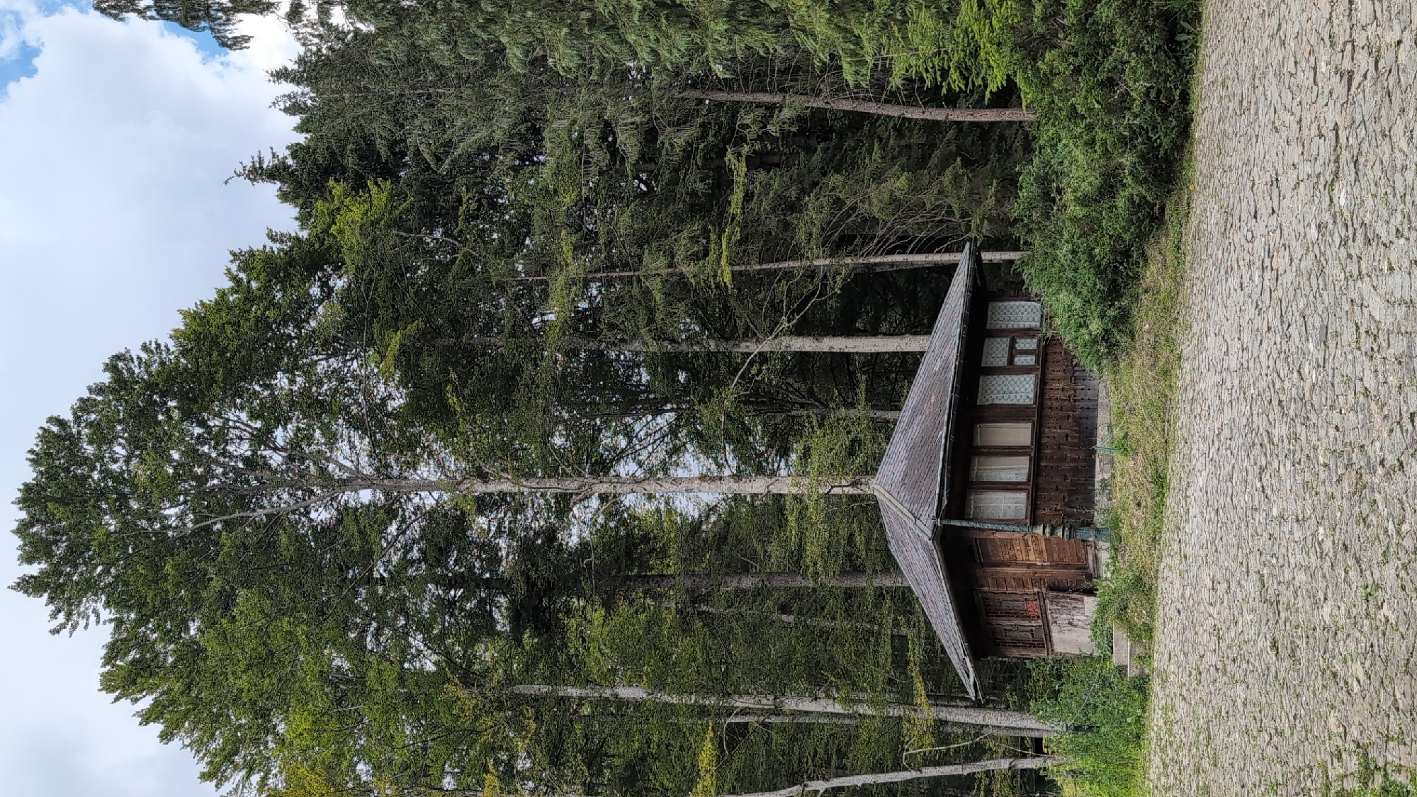 The image shows a small, rustic wooden building with a dark, sloped roof, situated in a forested area. The building has multiple windows with white curtains and appears to be constructed from dark wooden planks. In front of the building is a cobblestone ground. Tall trees, predominantly green with some lighter colored trunks, surround the building. The sky is partly cloudy with patches of blue. The overall scene suggests a secluded location within a forest, possibly a historical structure or a small dwelling. This structure is identified as the "Regatul de Jucării" (Toy Kingdom) located within the Sinaia city, Romania.
