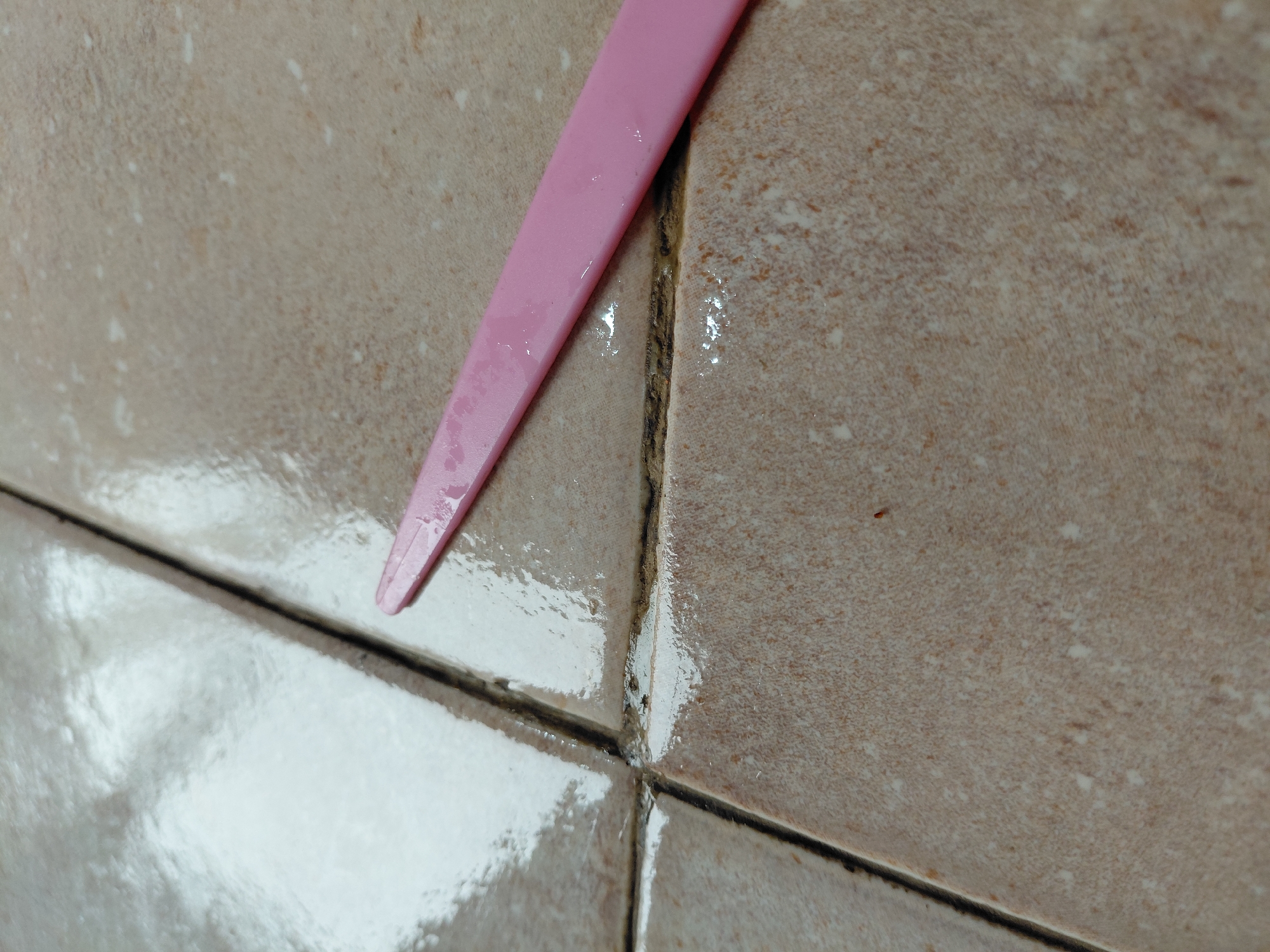 The image presents a close-up, high-angle view of a tiled surface, likely a floor or wall, featuring light brown or beige ceramic tiles with dark grout lines. A pink, elongated, and pointed object, possibly a plastic tool or utensil, rests diagonally across one of the grout lines, appearing wet itself.
The tiled surface exhibits a mottled or speckled pattern. The grout lines are conspicuously dark, with noticeable discoloration and grime, particularly in the intersection of the grout lines, suggesting the presence of dirt or mold/mildew. The tiles and grout are wet and highly reflective in several areas, indicating the presence of water or another liquid on the surface. This wetness is evident on both the tiles and the pink object.
No people are visible in the frame. The scene suggests an indoor setting, such as a bathroom, kitchen, or utility area where tiles and water are common. The presence of the pink tool and the wet, dirty grout could imply an ongoing cleaning activity or the aftermath of one, or simply an area in need of cleaning. There are no discernible time of day or weather cues, nor any visible text. The image provides no specific visual information to confirm the location as Santa Ana, Venezuela.