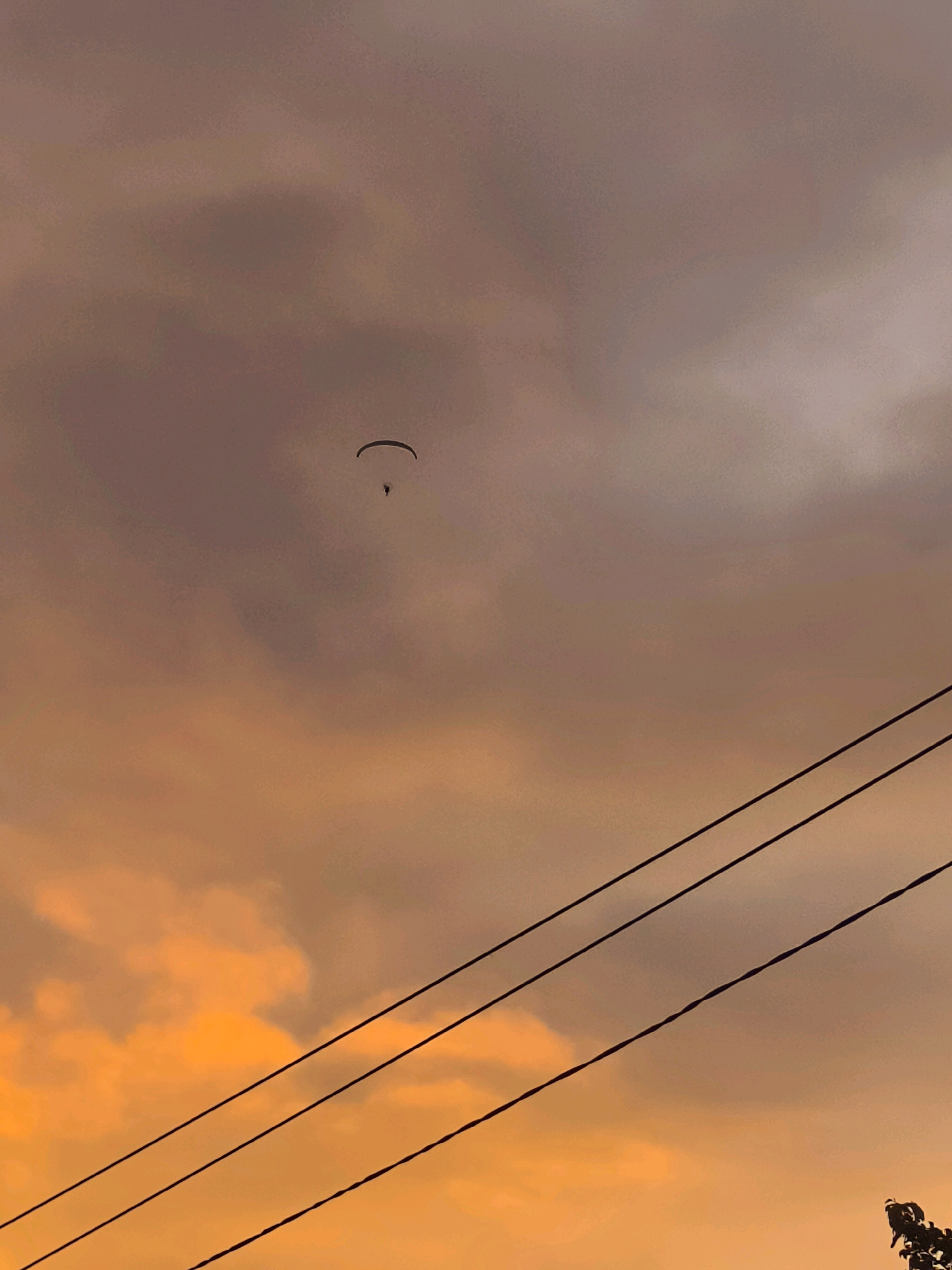An individual is paragliding against a sunset sky. The sky is filled with orange and purple clouds. Three power lines are visible in the foreground, stretching diagonally across the frame. The paraglider is a small, dark silhouette against the sky. The scene is likely taking place in Batumi, Georgia, given the presence of power lines and the characteristic sunset colors often seen in the region. The overall impression is one of serene and tranquil beauty.