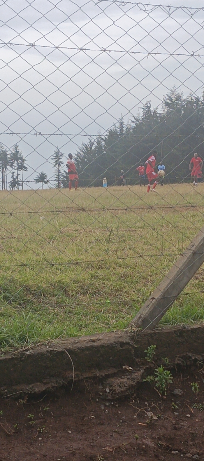 A wire fence with barbed wire at the top obscures a grassy field. Several people wearing red jerseys and shorts play soccer on the field. Trees line the horizon. A concrete post supports the fence on the right side of the image. The foreground reveals a dirt embankment, where small plants grow. The sky is overcast, suggesting a cloudy day.
