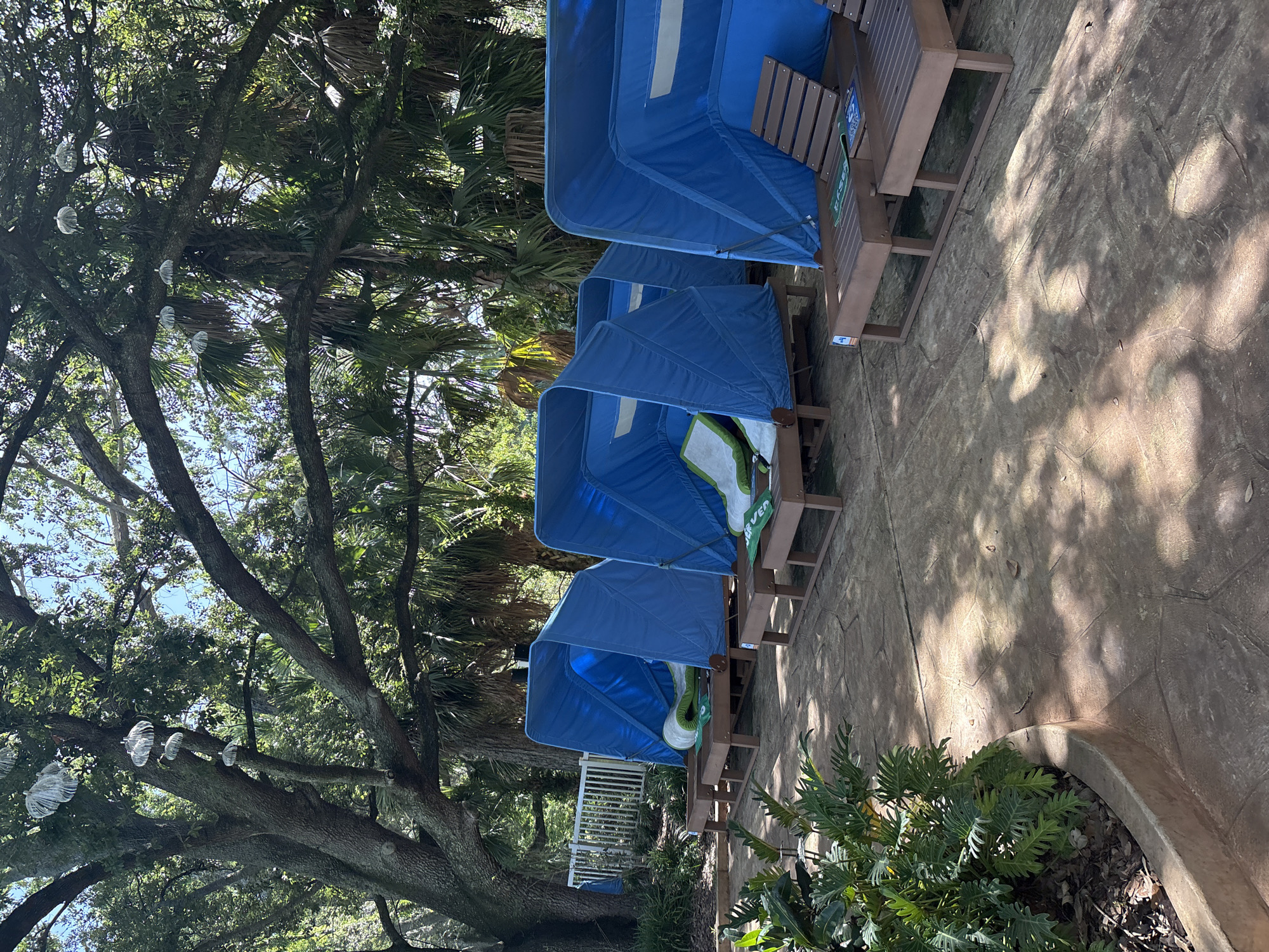 In Tampa, Florida, United States of America, a row of blue, tent-like cabanas shields lounge chairs from the sun. The cabanas are positioned on wooden platforms, with some chairs partially visible inside. Lush green foliage, including large-leafed plants and palm trees, surrounds the area, with mature trees providing dappled shade. The ground is paved with textured concrete, and a white picket fence is visible in the background. The sky is clear and blue, with sunlight filtering through the leaves.