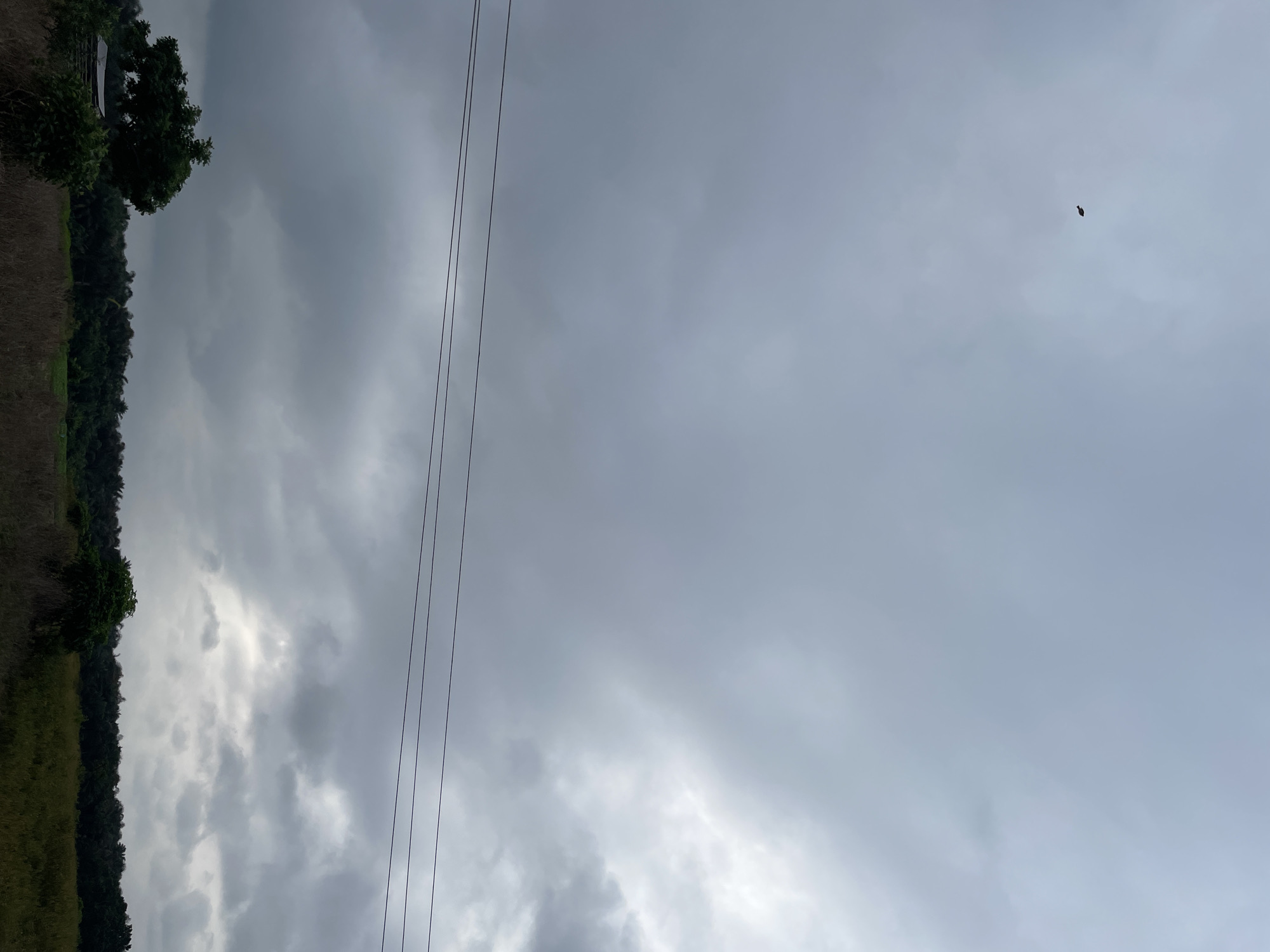 The image depicts a slightly overcast sky above a rural landscape in Iyafin, Nigeria. In the upper portion of the sky, a small, dark object, possibly a kite or a bird, is visible. Three thin, dark electrical wires are stretched horizontally across the middle of the frame. The lower part of the image shows a dense line of dark green trees forming a treeline, with a field of dry, brown grass in the foreground. A single green tree stands to the left of the frame, partially obscuring a small, dilapidated structure with a grey, corrugated roof. The overall impression is one of a subdued, natural environment on a cloudy day.