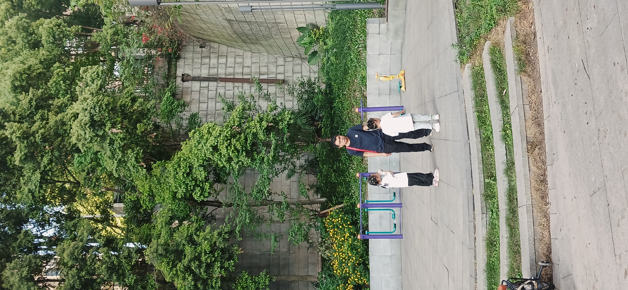The image depicts a scene in a park in Jiulongpo District, China. An adult and two children are standing on a paved path. The adult is wearing a dark shirt, black pants, and glasses. One child is wearing a white shirt and gray pants, while the other is wearing a white shirt and black pants. They appear to be in a park, as indicated by the presence of trees, greenery, and playground equipment. A bicycle is visible in the corner. There is also a stone wall present.