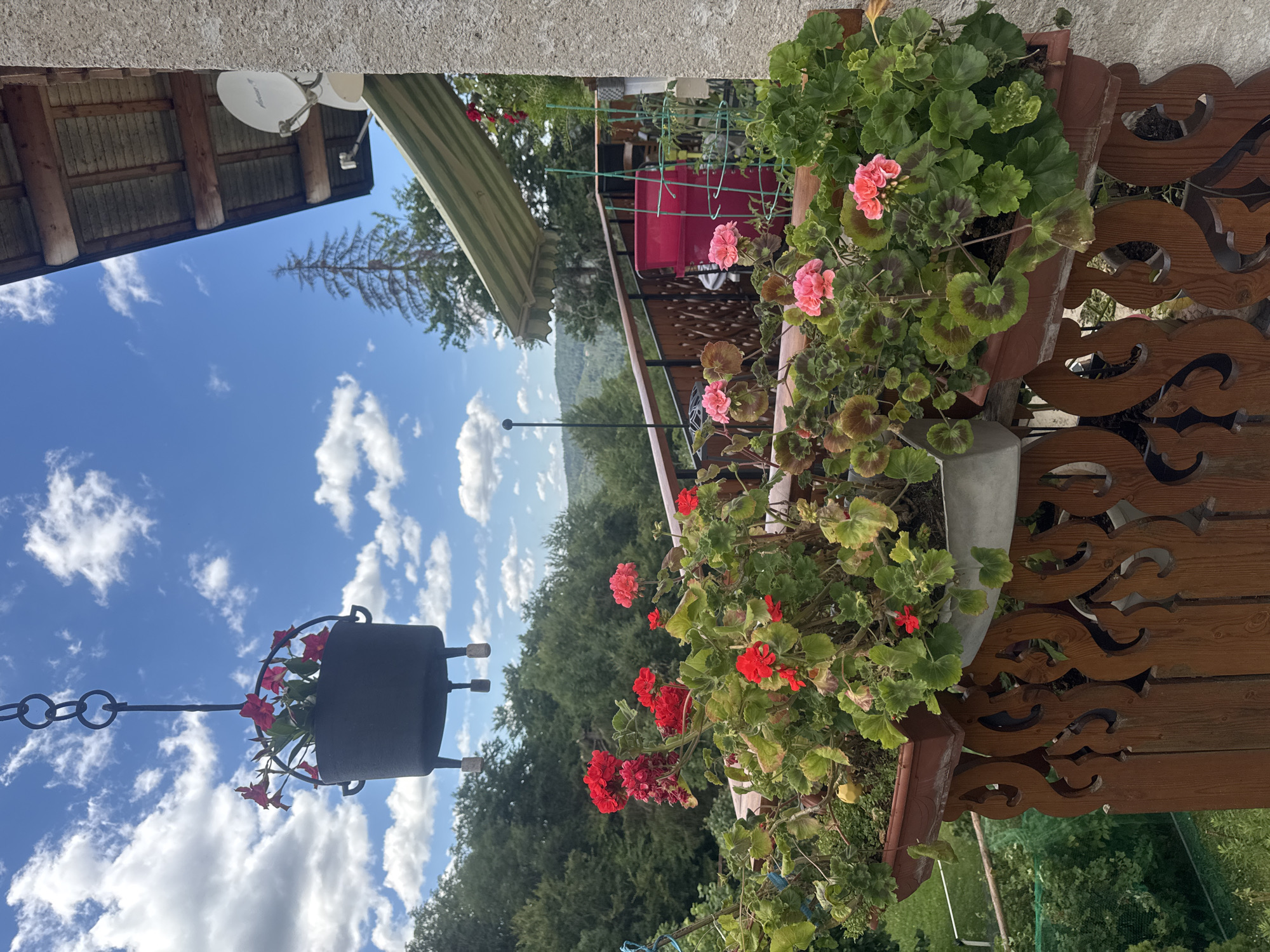 The image depicts a view from a balcony in Les Rousses, France, on a bright, cloudy day. The balcony is adorned with several planters overflowing with vibrant red and pink geraniums, along with other lush green foliage. A decorative wooden railing, featuring intricate cut-out patterns, lines the front of the balcony.
In the foreground, a dark, cast-iron pot, suspended by a chain from above, contains a small cluster of pink flowers. Beyond the balcony, a panoramic view unfolds, showcasing a dense forest of green trees covering rolling hills. In the distance, a tall, slender pine tree stands out against the bright blue sky, punctuated by fluffy white clouds. To the right of the frame, a segment of a building's roof and an exterior wall are visible. A striped green awning extends over a portion of the balcony, and a satellite dish is mounted on the wall. The overall scene conveys a sense of natural beauty and tranquil outdoor living.