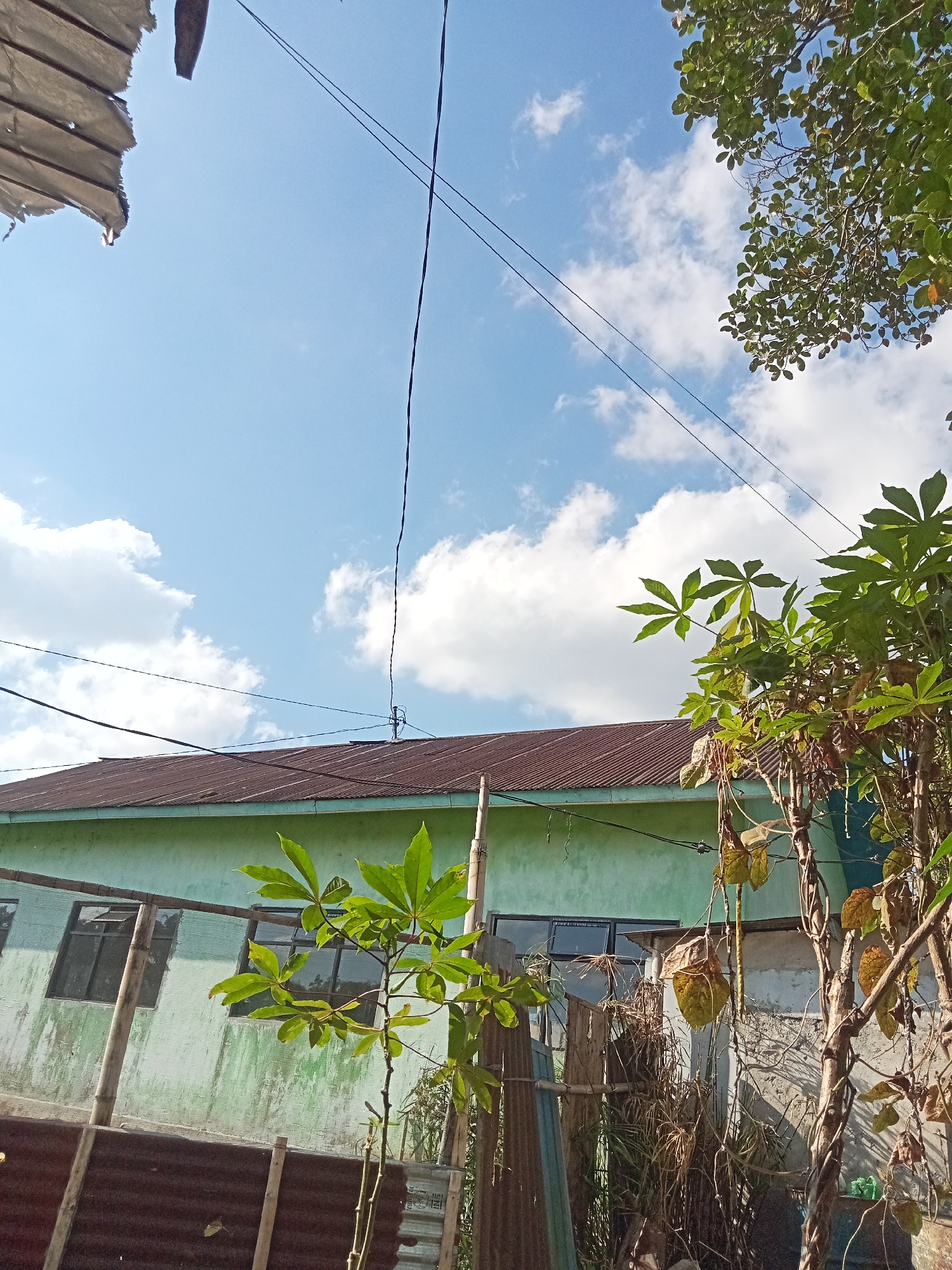 The image shows a view looking up at a blue sky with white clouds. A green building with a corrugated metal roof is visible. Several power lines stretch across the sky. In the foreground, there is a tree with green leaves and some dried-up vines. A section of a damaged white tarp is in the upper left corner. The scene appears to be outdoors in an urban or semi-urban setting, possibly in Pancurwening, Indonesia, given the context provided. There are no people or animals visible in the image. The overall impression is a mundane exterior scene on a sunny day.