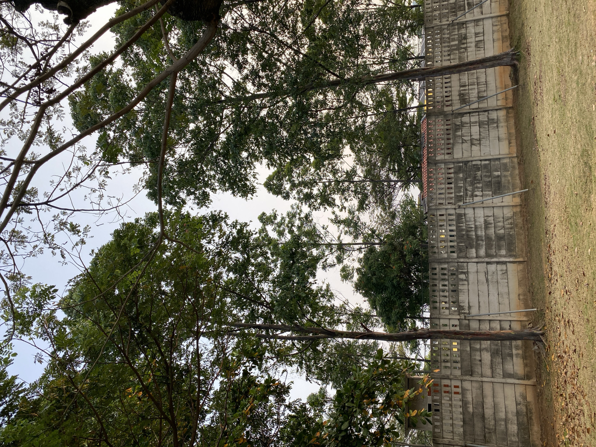 The image depicts a concrete wall with a grated pattern at the top, separating a grassy area from a densely treed background. The wall is constructed from horizontal concrete slabs with vertical supports. There are several trees in the foreground, with their branches and leaves extending towards the sky. The ground in front of the wall is covered in dry grass and fallen leaves. The sky above is overcast. The scene is likely a public space or a private property boundary within the city of East Jakarta, Indonesia, given the presence of the concrete wall, the style of the trees, and the overall climate suggested by the foliage. There are no people or animals visible in the image.