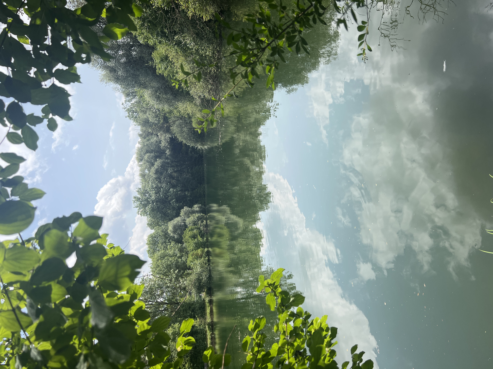 The image shows a tranquil lake surrounded by lush green trees. The sky above is blue with scattered white clouds, which are reflected on the calm surface of the water. The foreground is framed by the leaves of trees, creating a natural border. The scene appears to be a park or a nature reserve. While the specific location in Freising, Germany is not identifiable from the image alone, it depicts a typical natural setting found in and around such a city. There are no people or specific objects of note in the scene, other than the natural elements of trees, water, and sky. The overall impression is one of peace and natural beauty.