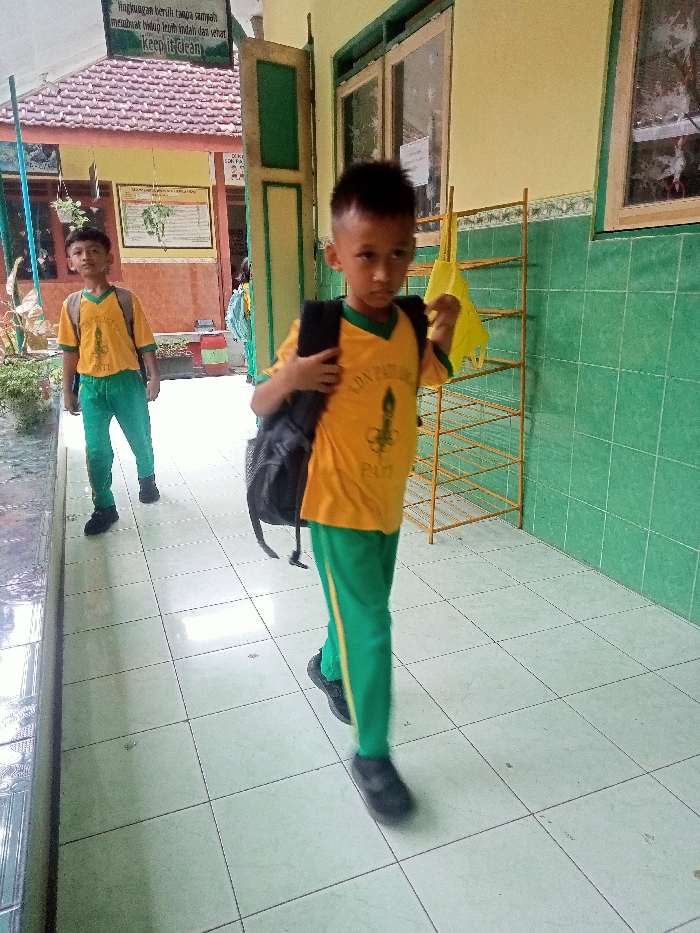 Memory