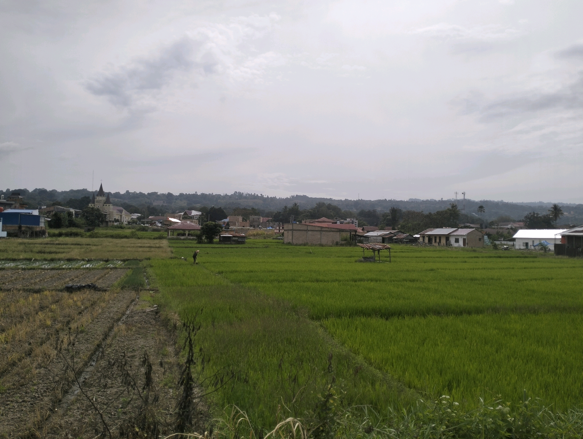 The image depicts a rural landscape in the vicinity of Pangururan, Indonesia, characterized by agricultural fields and scattered buildings. In the foreground, a dry, tilled field contrasts with a lush, green rice paddy that stretches into the midground. A solitary individual, likely a farmer, is visible working in the rice paddy, wearing a hat and holding a tool. Beyond the fields, a small cluster of buildings, including houses and a structure with a thatched roof, are present. In the distance, a church with a prominent spire stands out amongst other structures and is framed by a backdrop of rolling hills and trees. The sky is overcast with a scattering of clouds, suggesting a partly cloudy day. The overall scene portrays a blend of agricultural activity and residential settlement in a rural Indonesian setting.